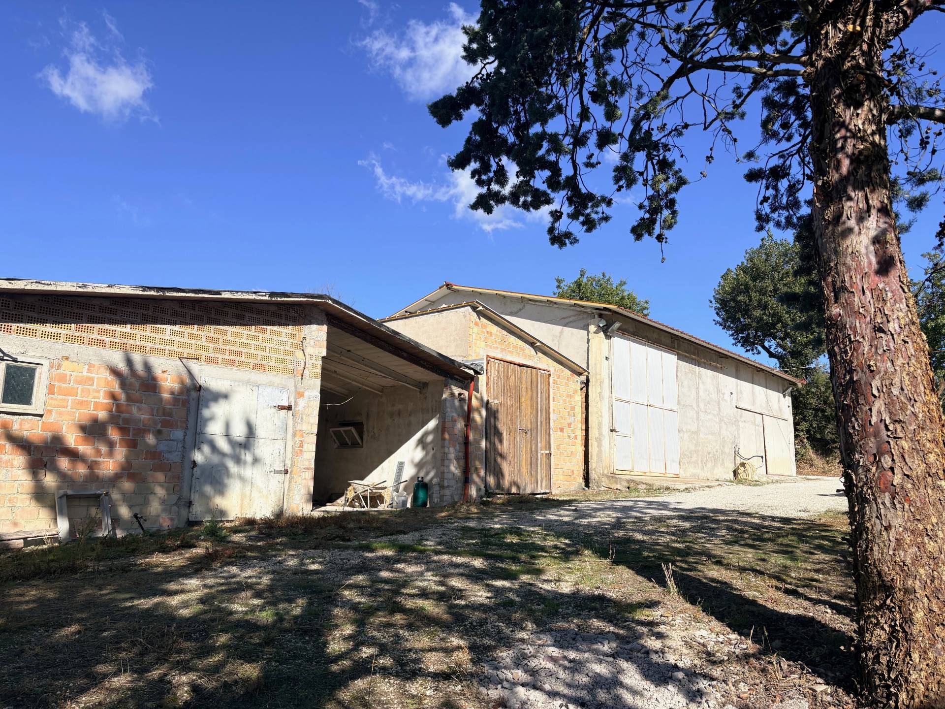 Casolare in vendita a Belvedere Ostrense