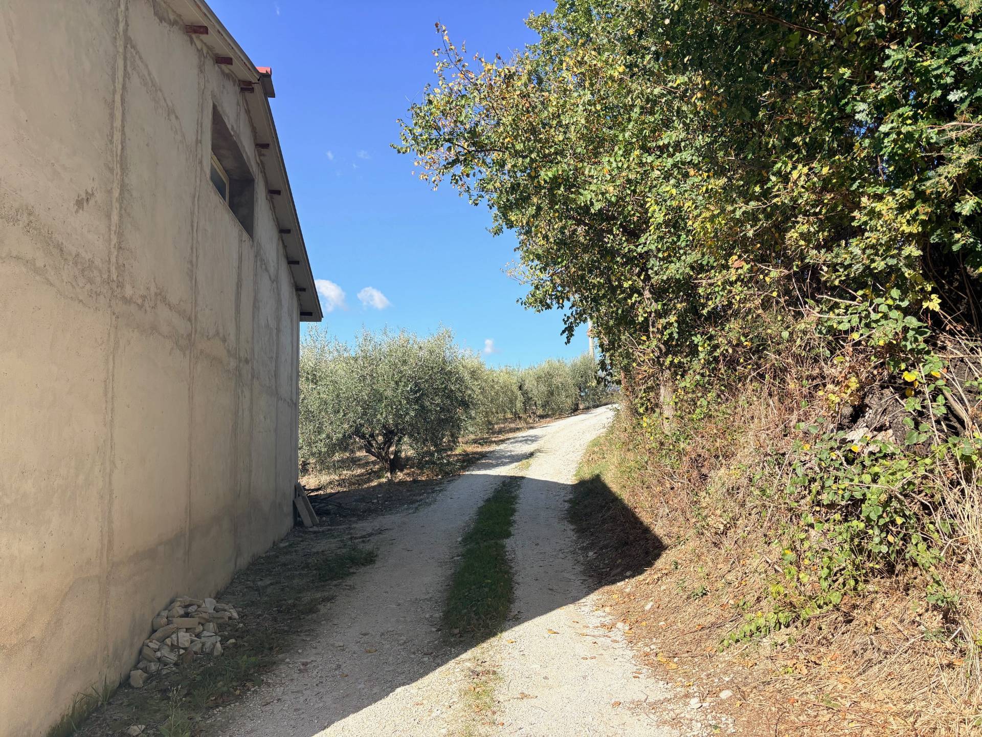 Casolare in vendita a Belvedere Ostrense