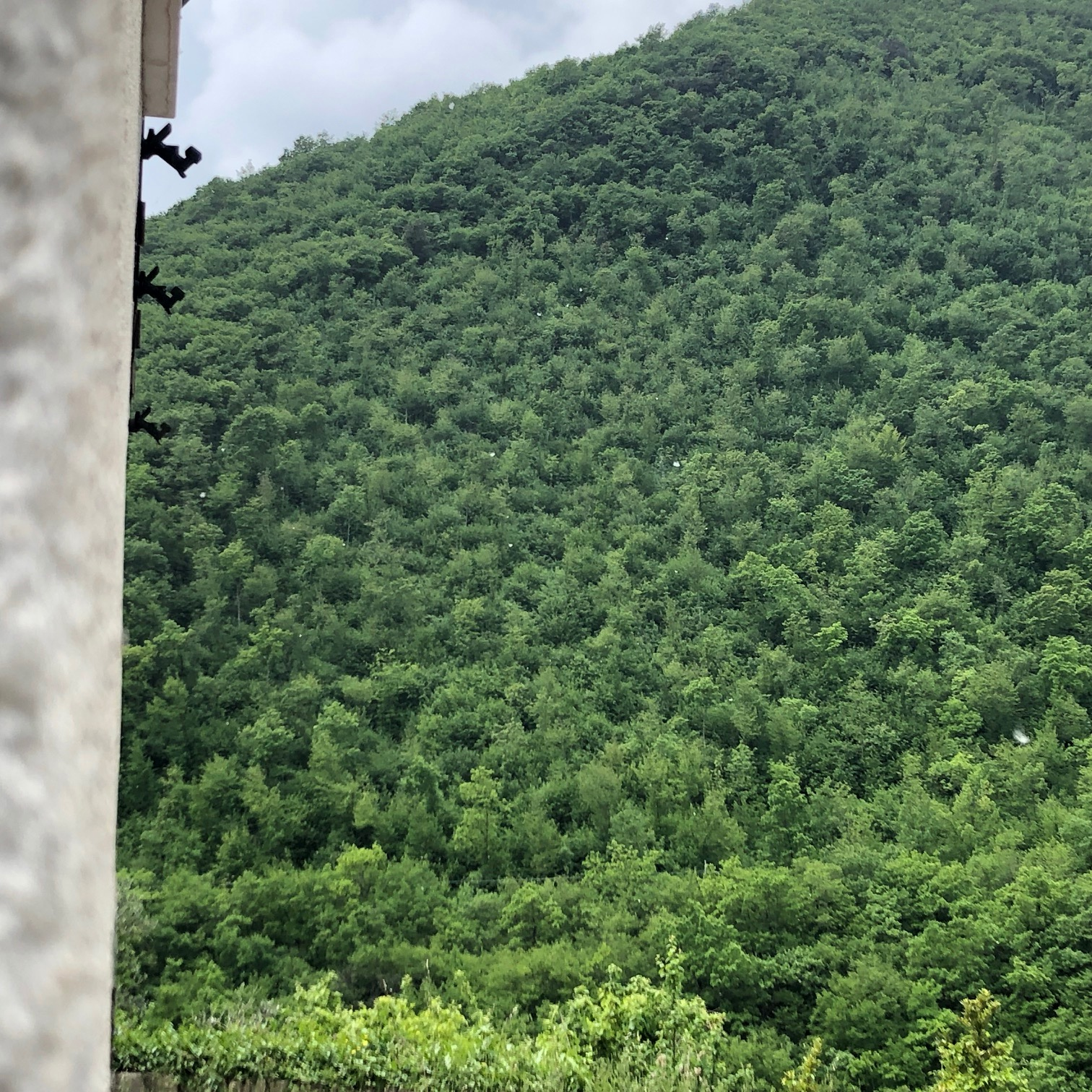 Casa singola in vendita a Sassoferrato