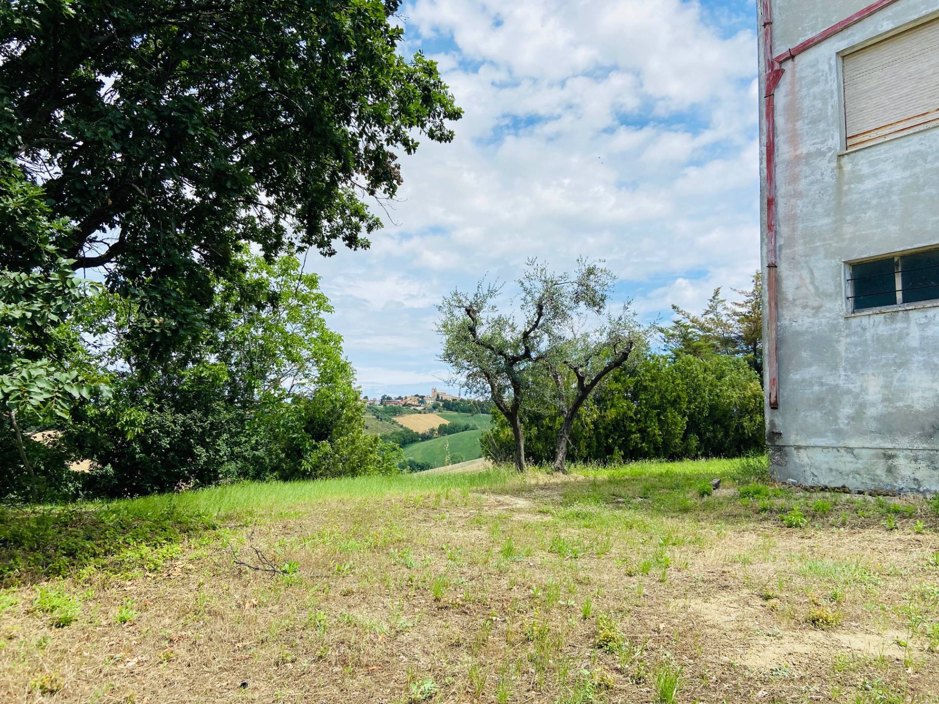 Doppio Casolare in vendita a Belvedere Ostrense