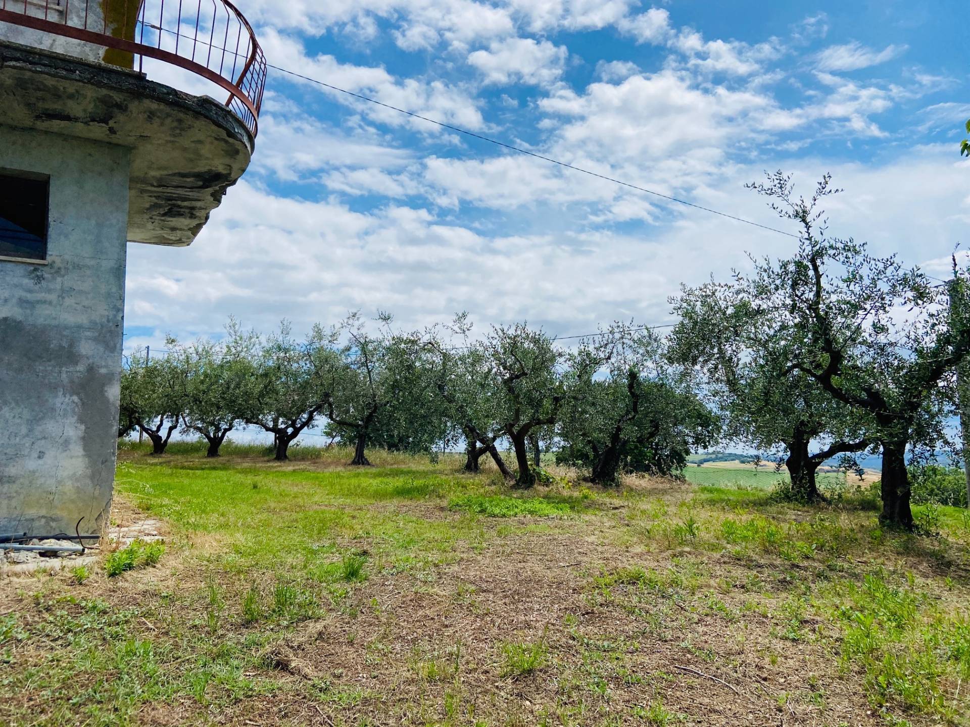 Doppio Casolare in vendita a Belvedere Ostrense