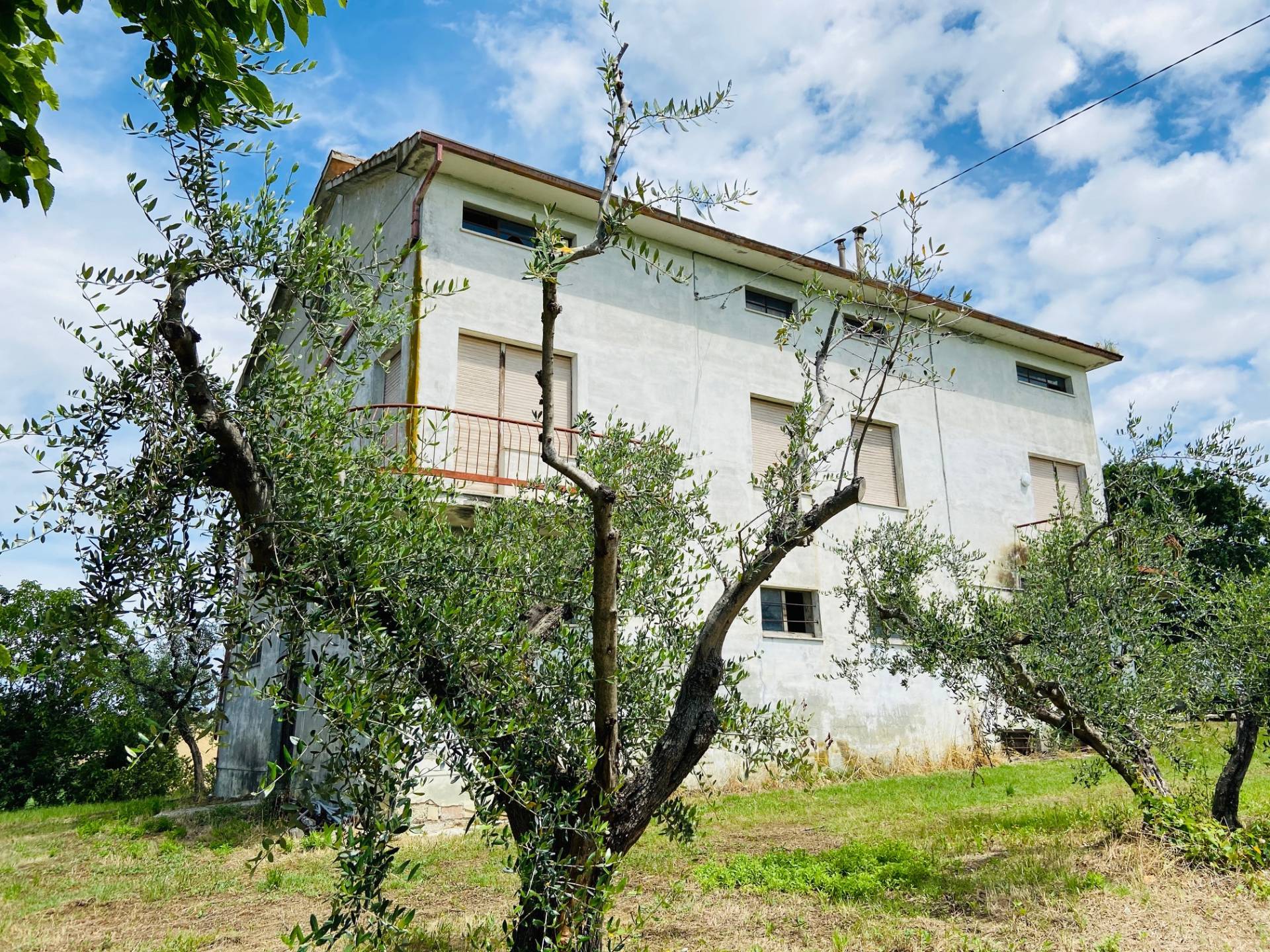 Doppio Casolare in vendita a Belvedere Ostrense