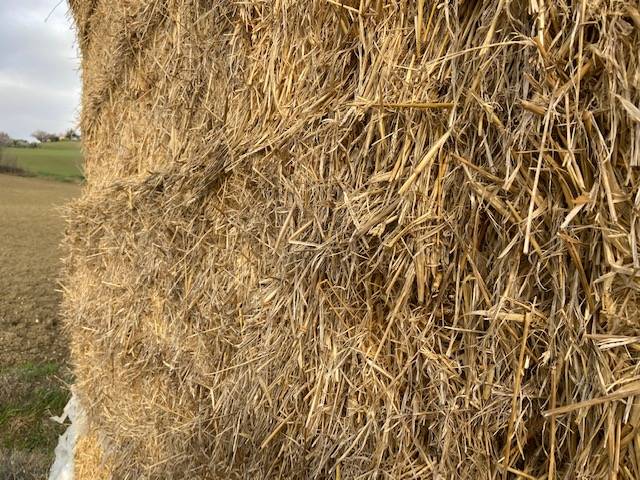 Rustico in vendita a Ostra