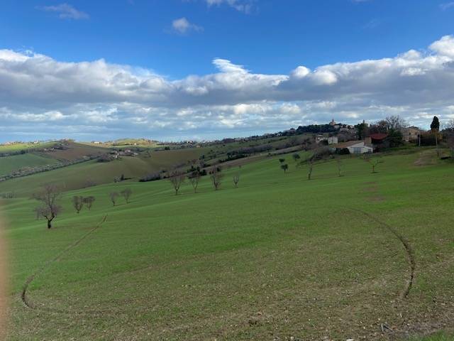 Rustico in vendita a Belvedere Ostrense