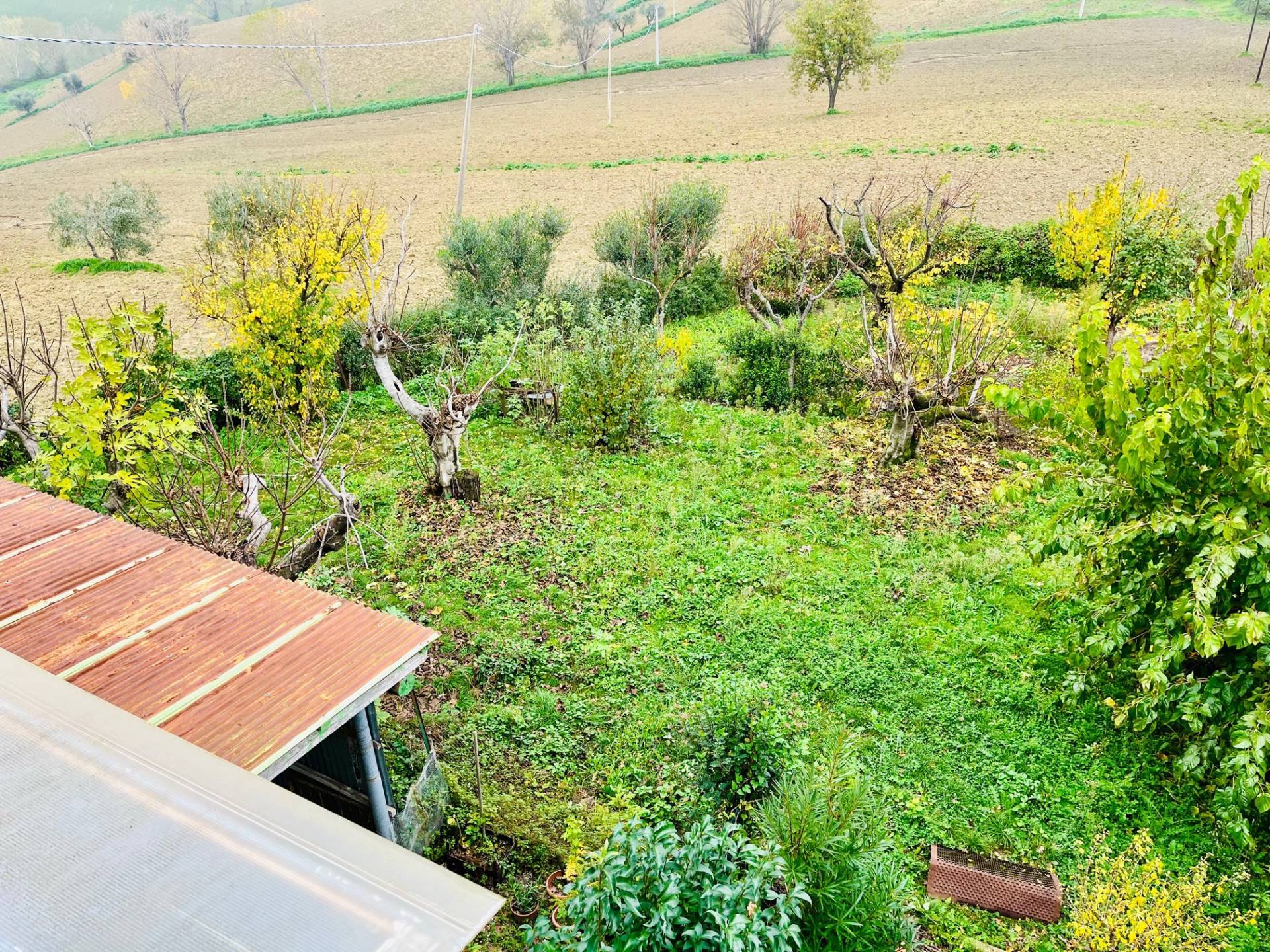 Casolare in vendita a Belvedere Ostrense