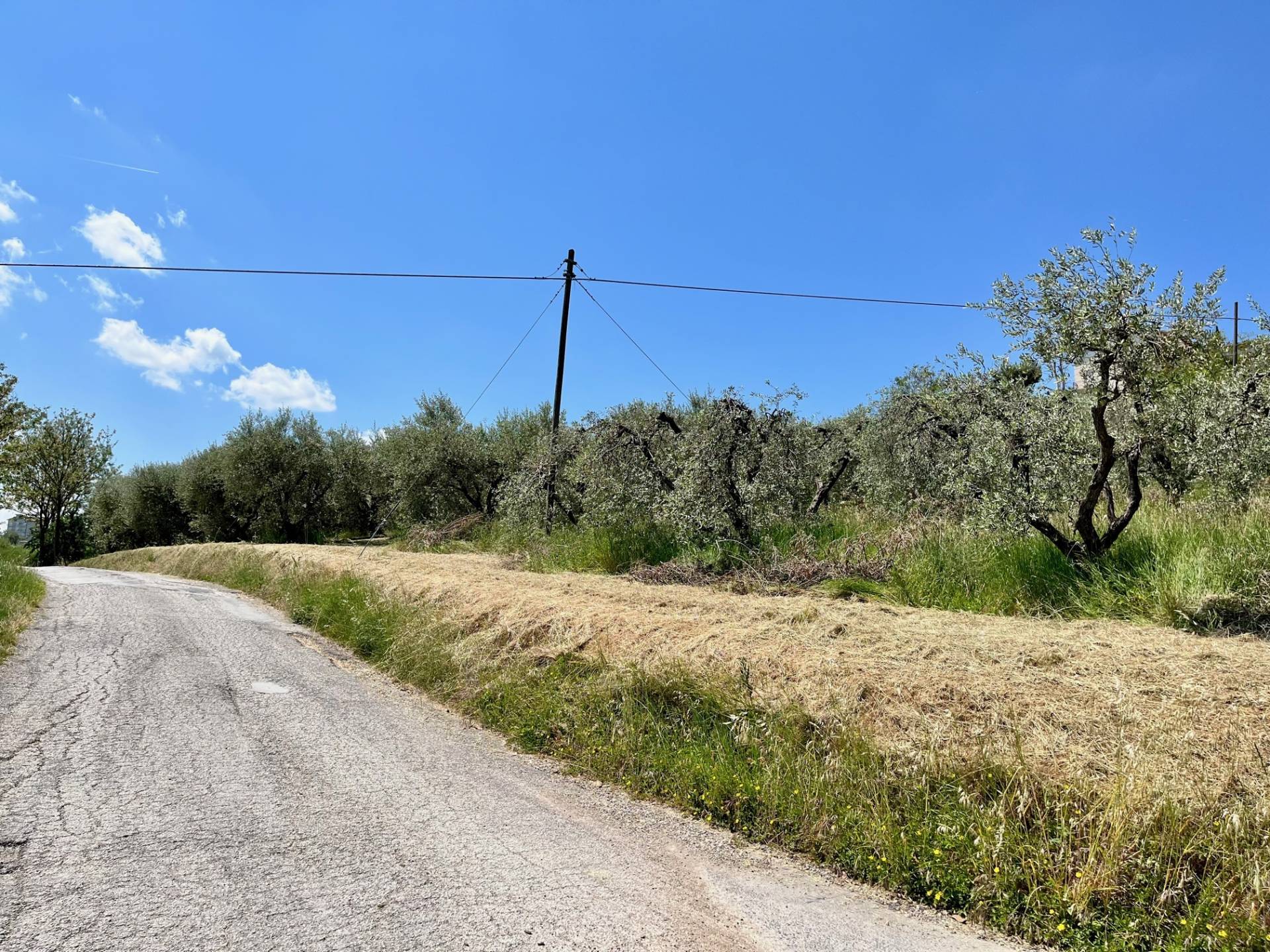 Terreno Agricolo in vendita a Monte San Pietrangeli