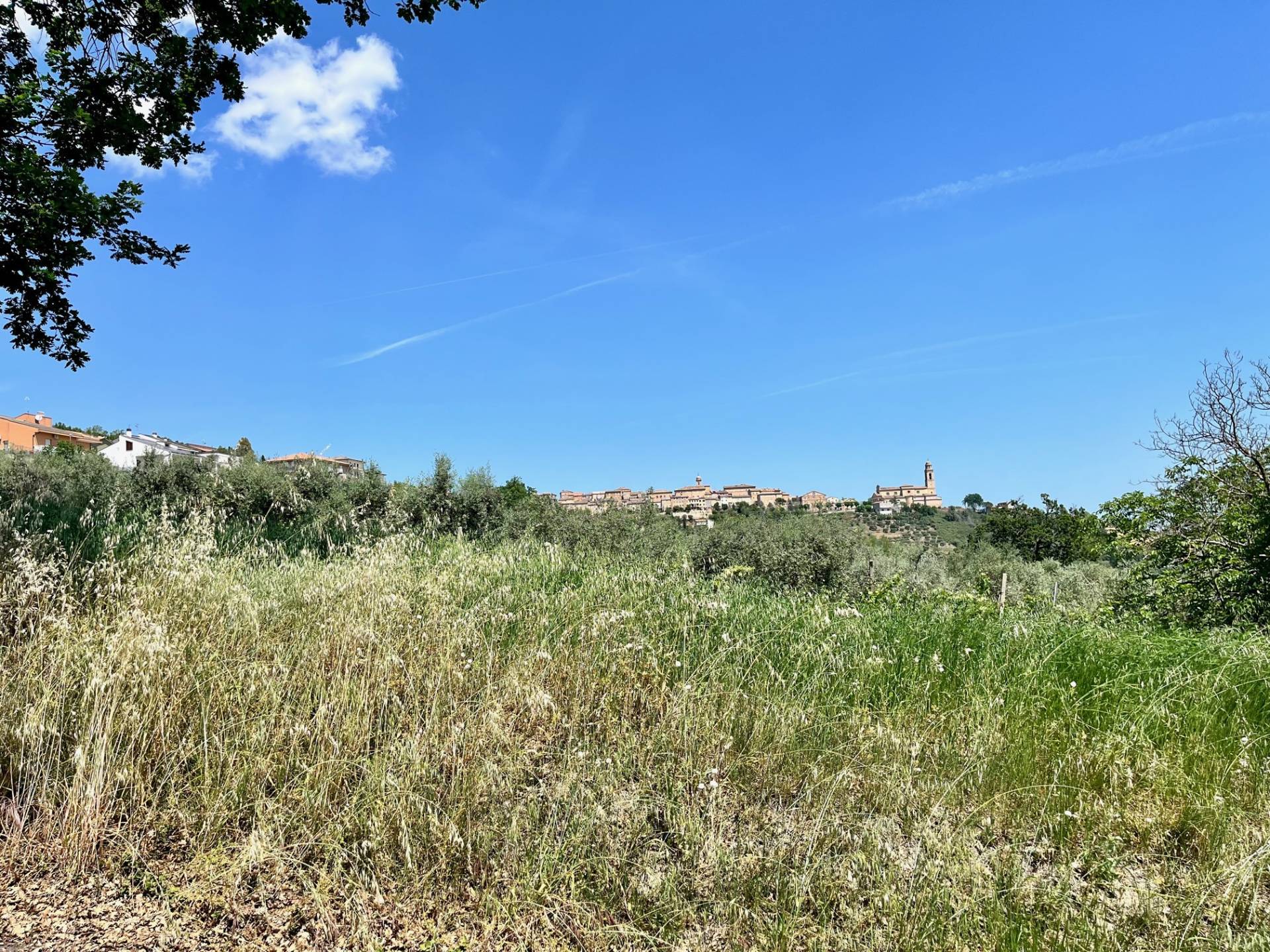 Terreno Agricolo in vendita a Monte San Pietrangeli