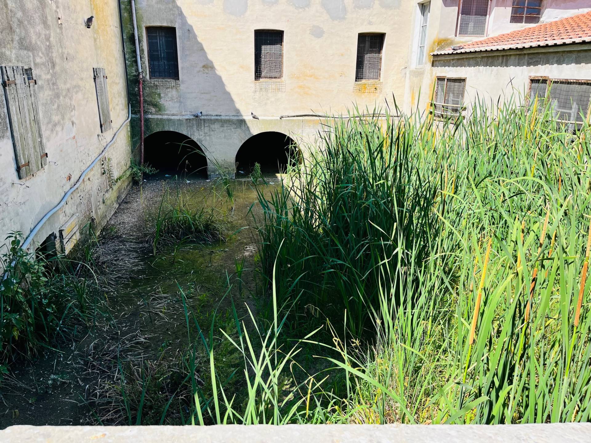 Appartamento in vendita a Corinaldo, Madonna del Piano