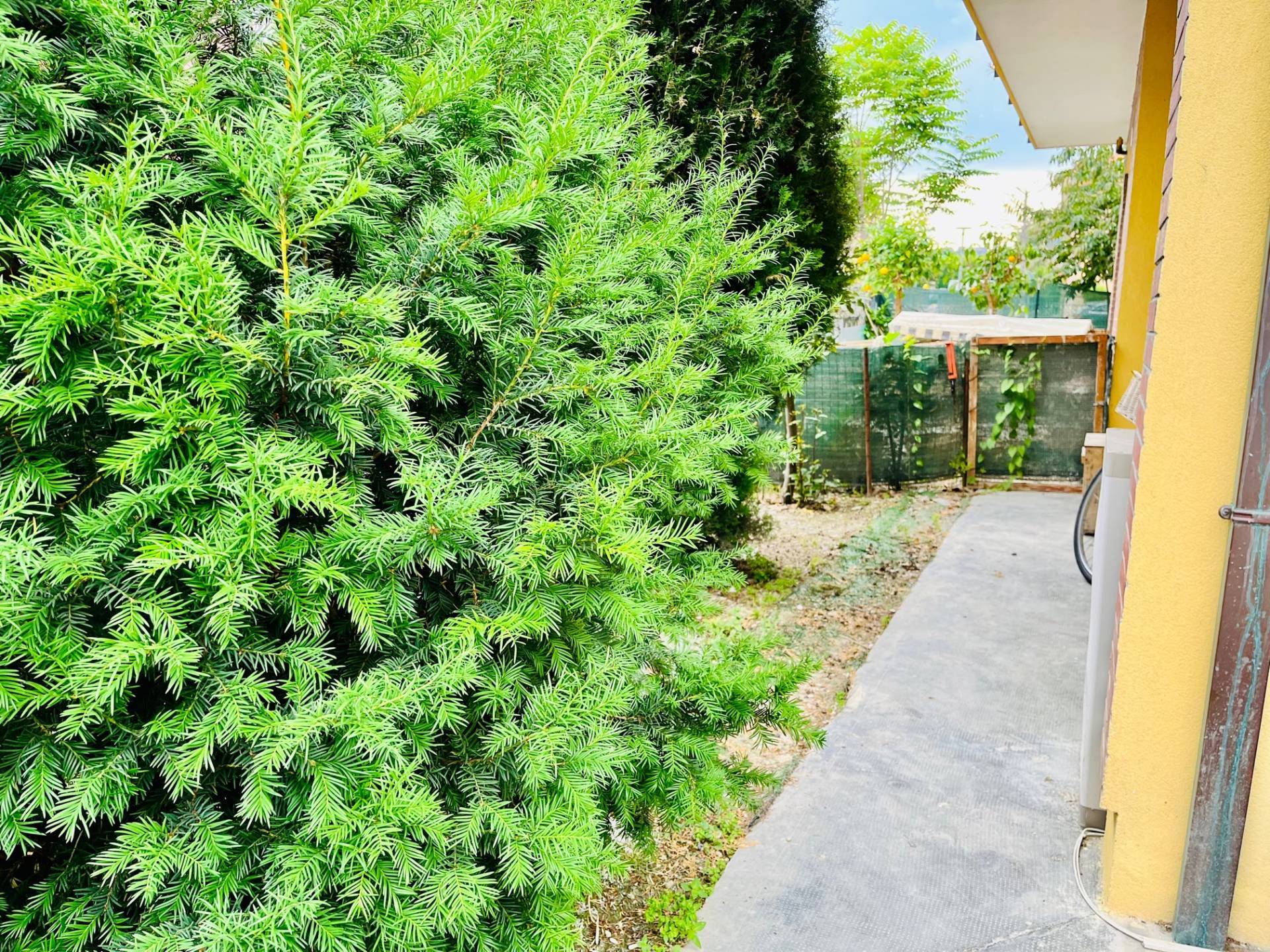 Appartamento in vendita a Senigallia