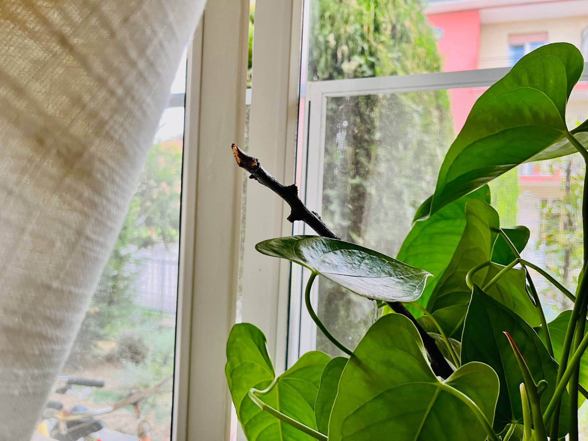 Appartamento in vendita a Senigallia