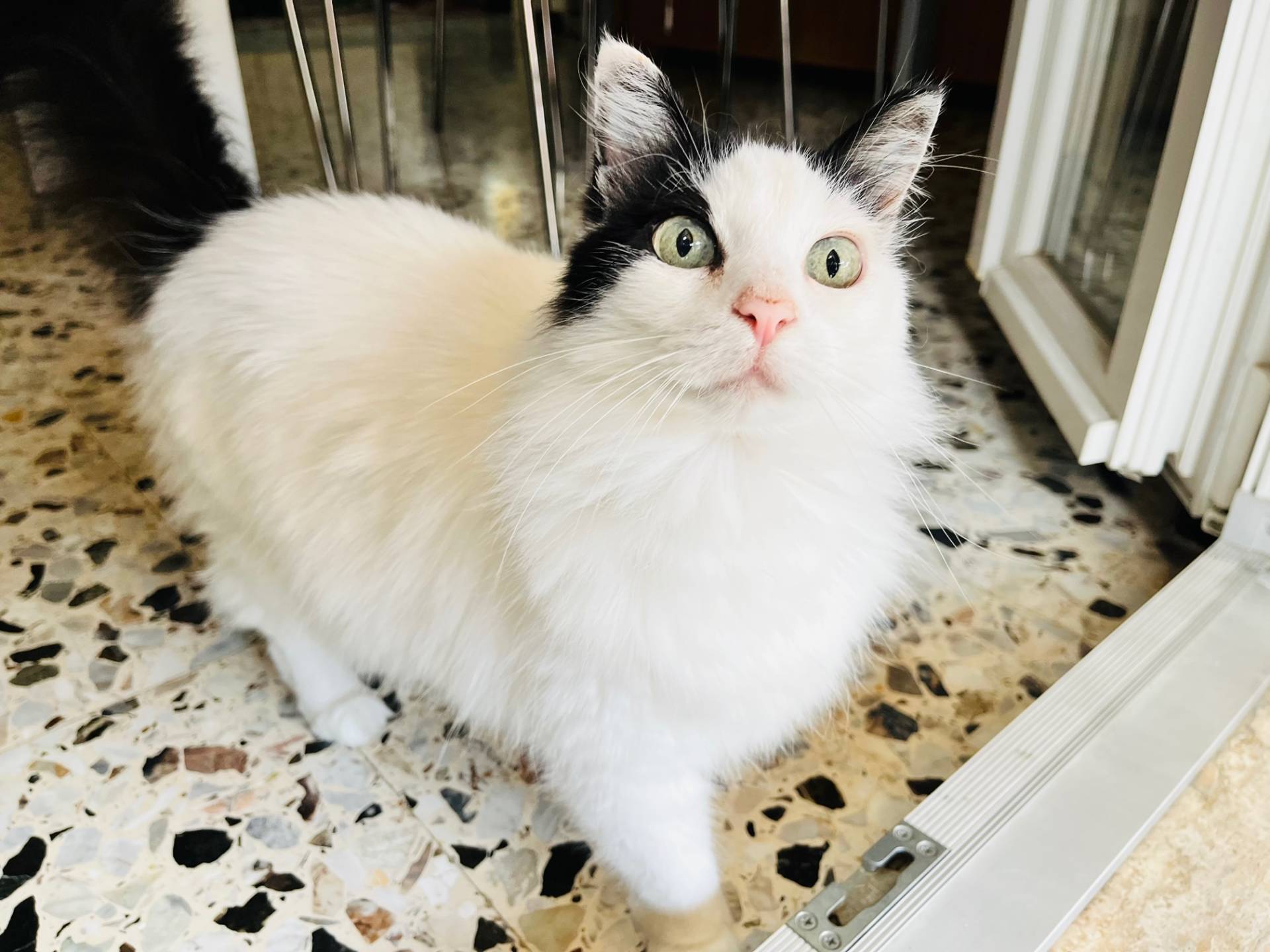 Appartamento in vendita a Senigallia