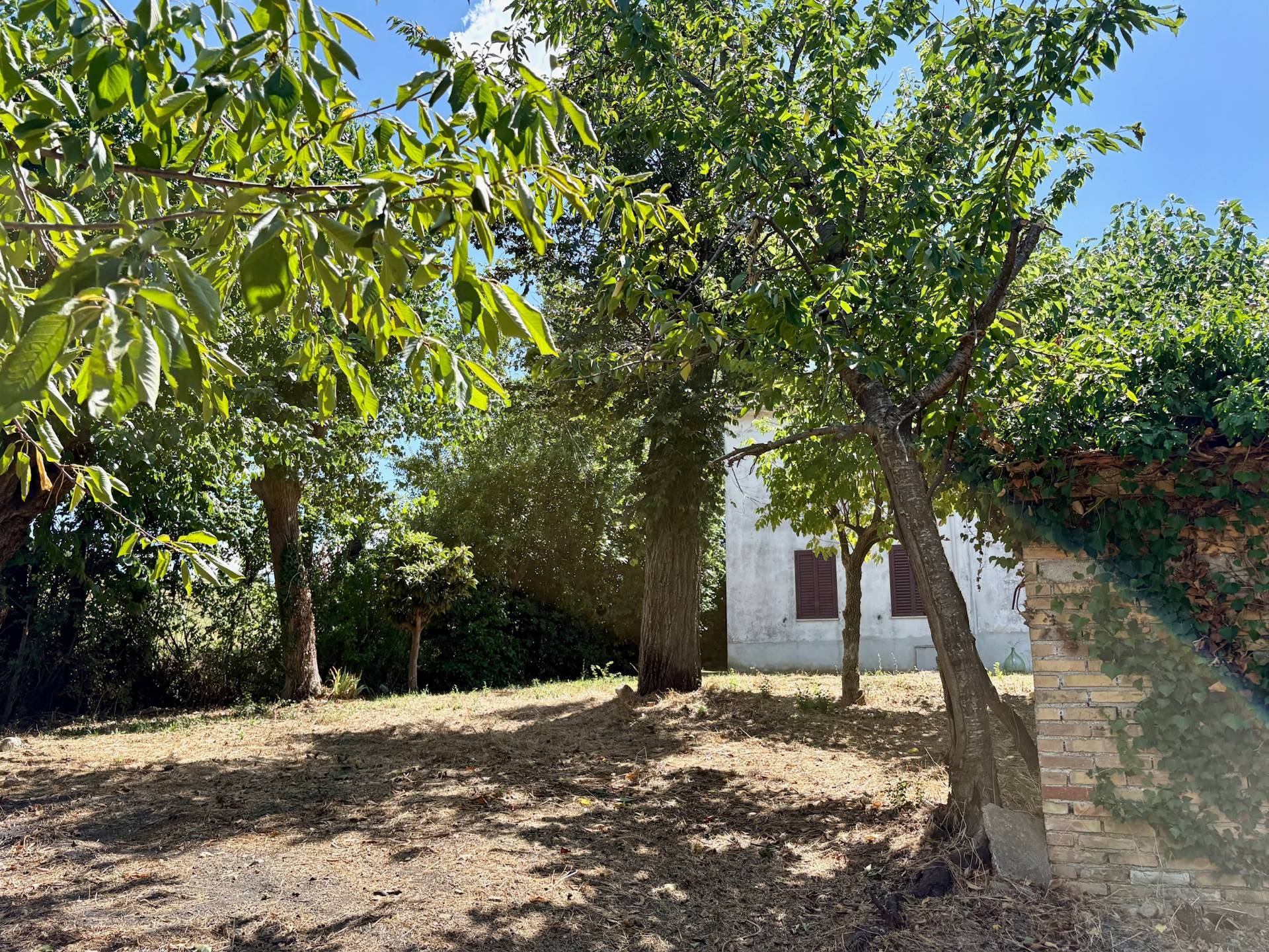 Casa singola in vendita a Belvedere Ostrense