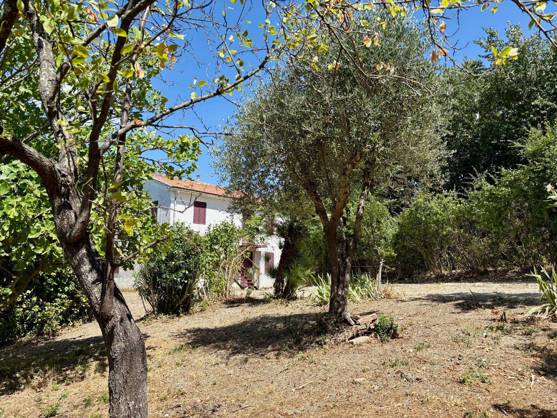 Casa singola in vendita a Belvedere Ostrense