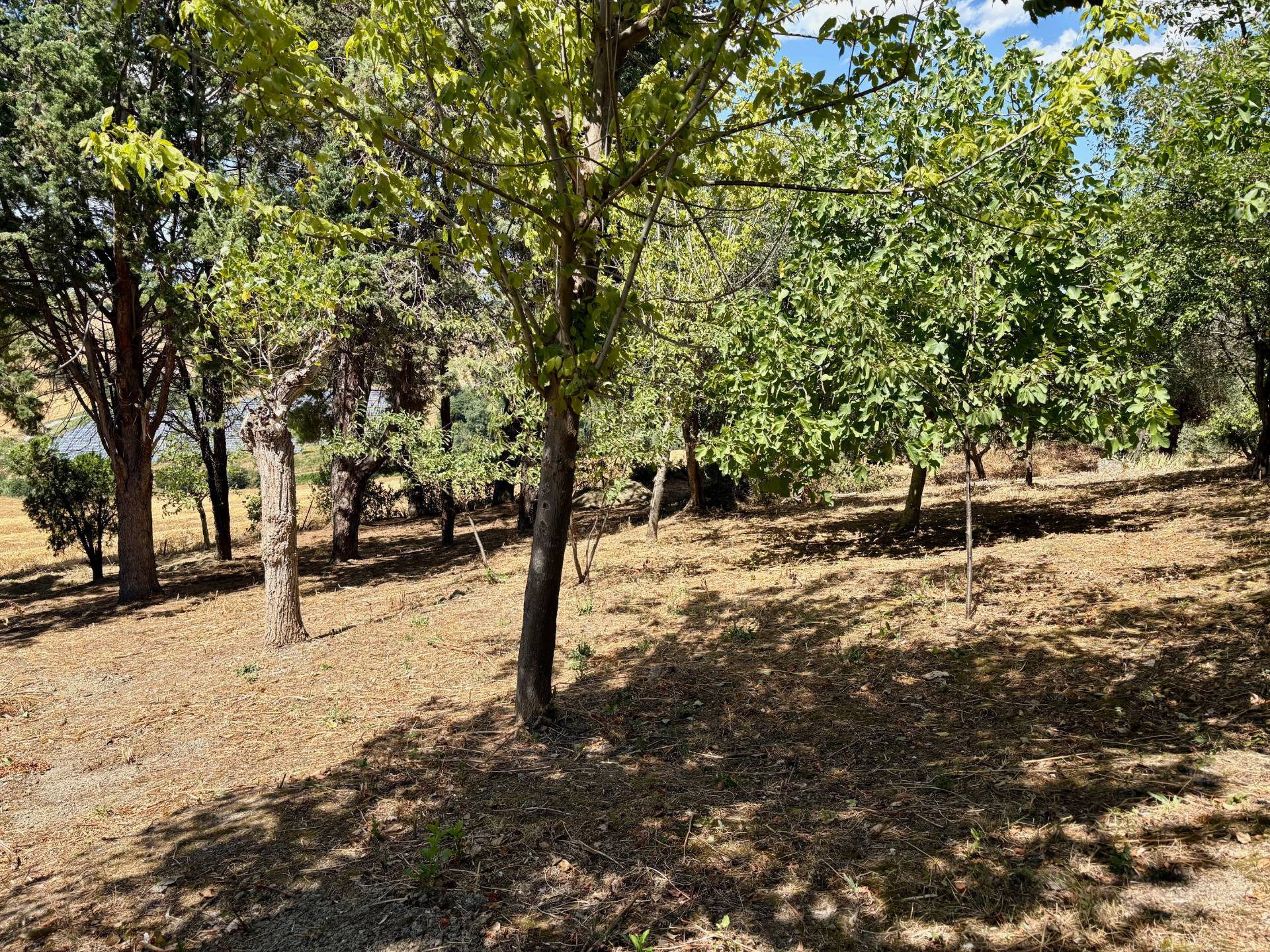 Casa singola in vendita a Belvedere Ostrense