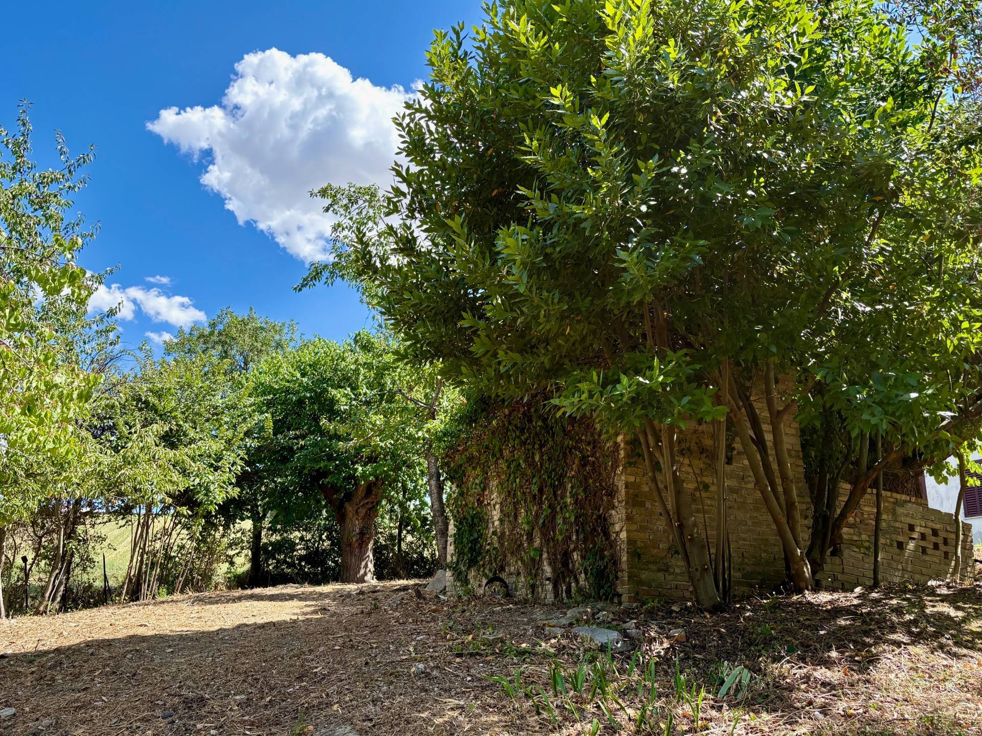 Casa singola in vendita a Belvedere Ostrense