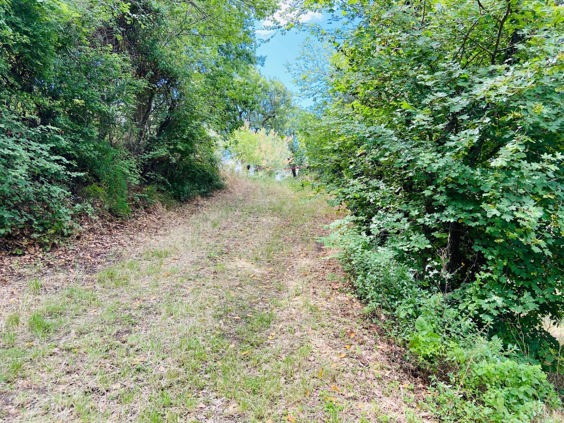 Rustico in vendita a Belvedere Ostrense