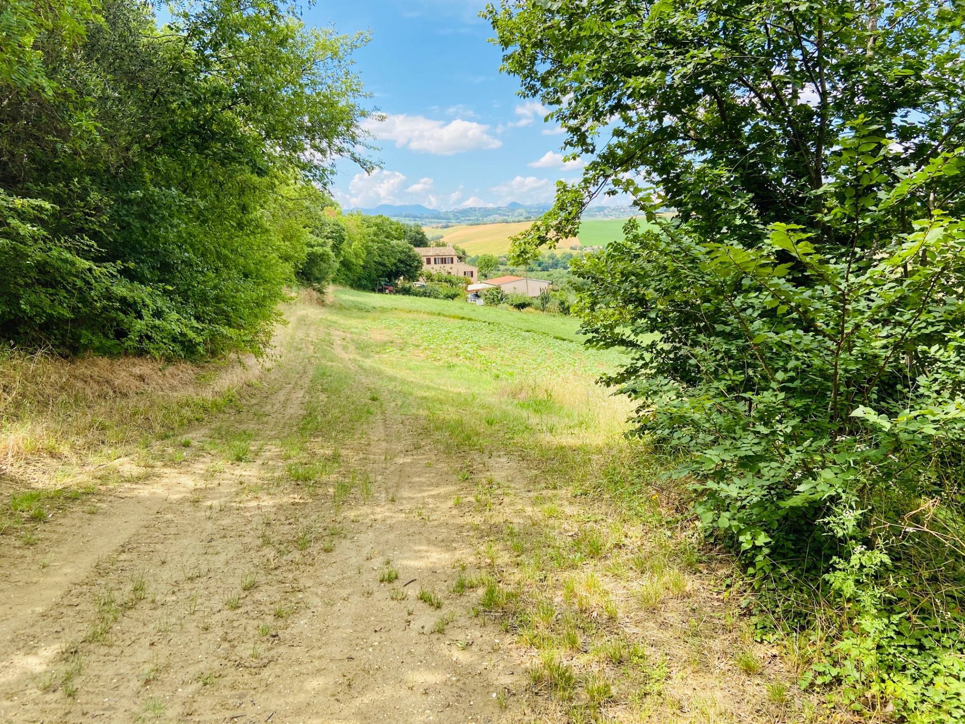 Rustico in vendita a Belvedere Ostrense