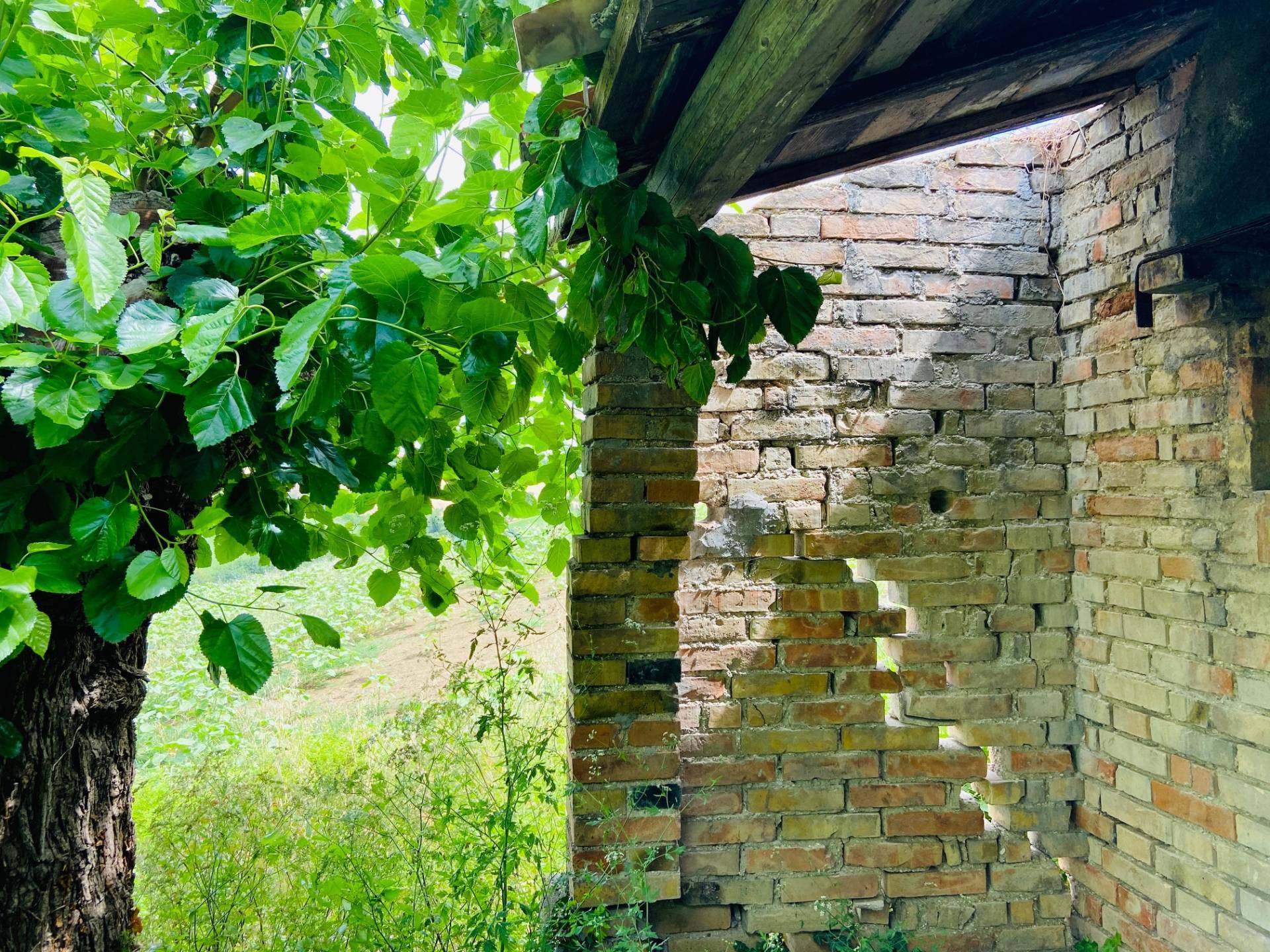 Rustico in vendita a Belvedere Ostrense