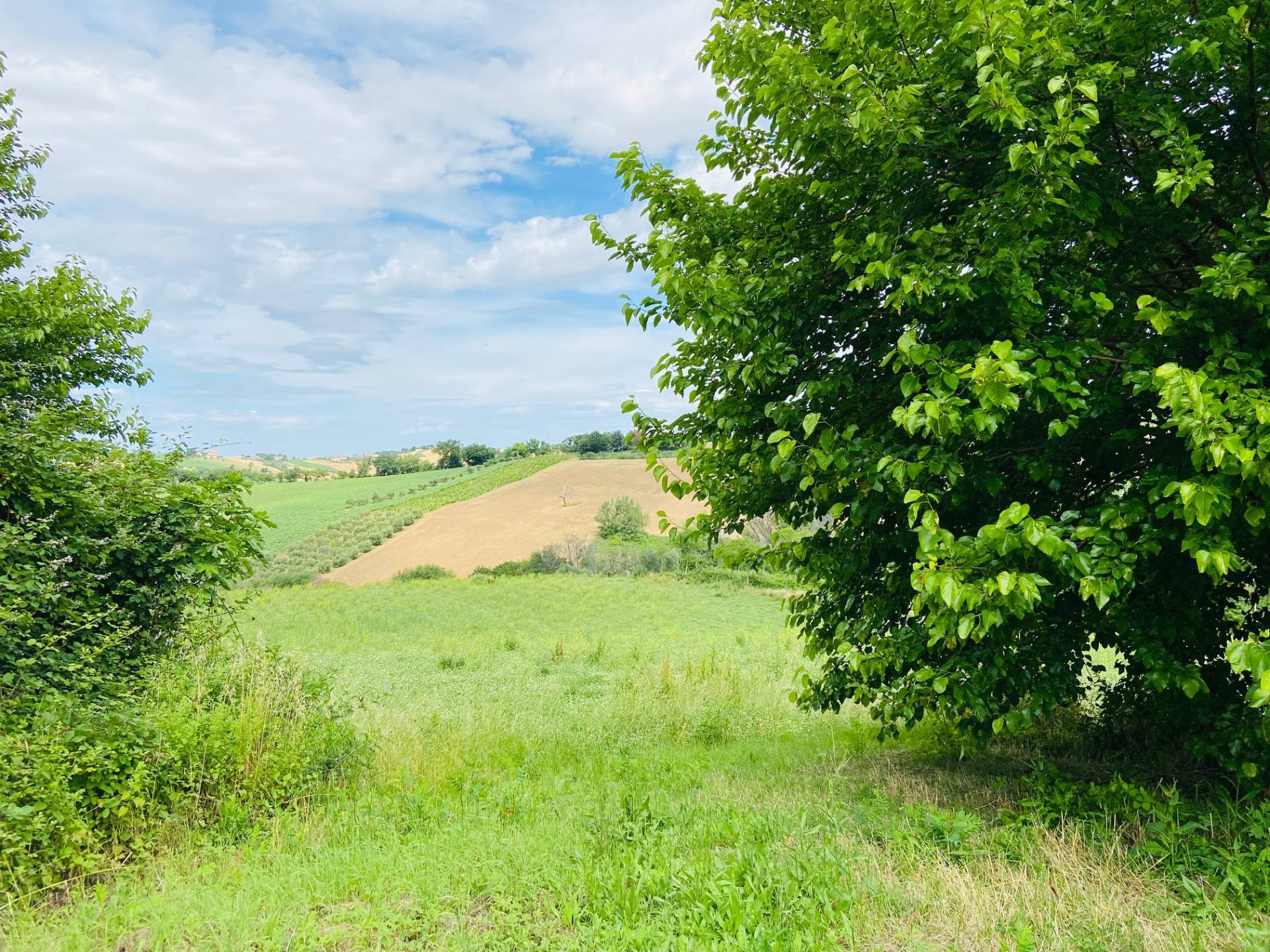 Rustico in vendita a Belvedere Ostrense