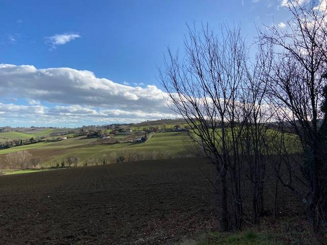 Rustico in vendita a Ostra