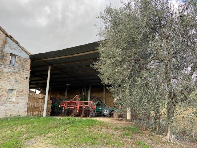 Rustico in vendita a Ostra