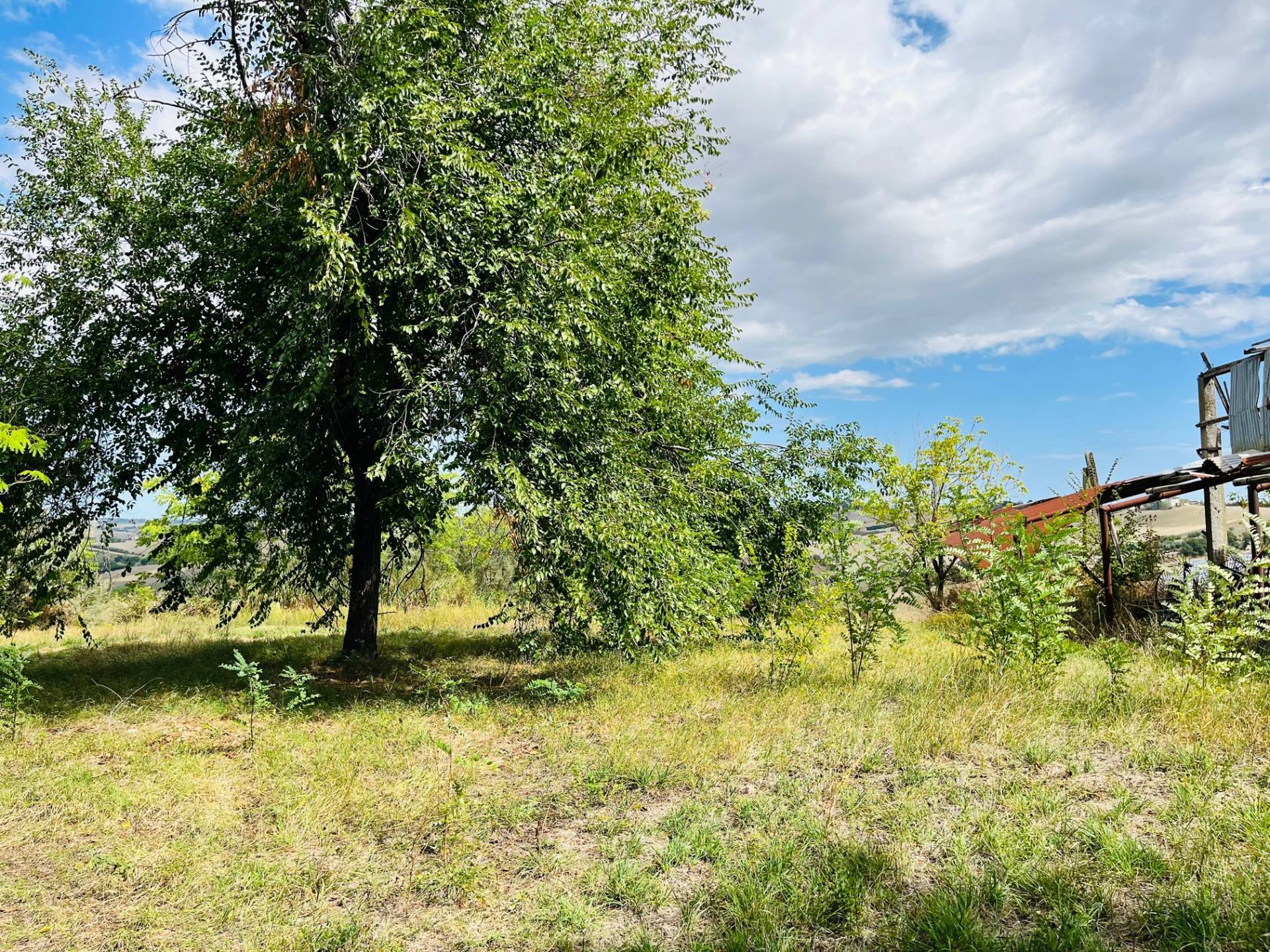 Doppio Casolare in vendita a Ostra