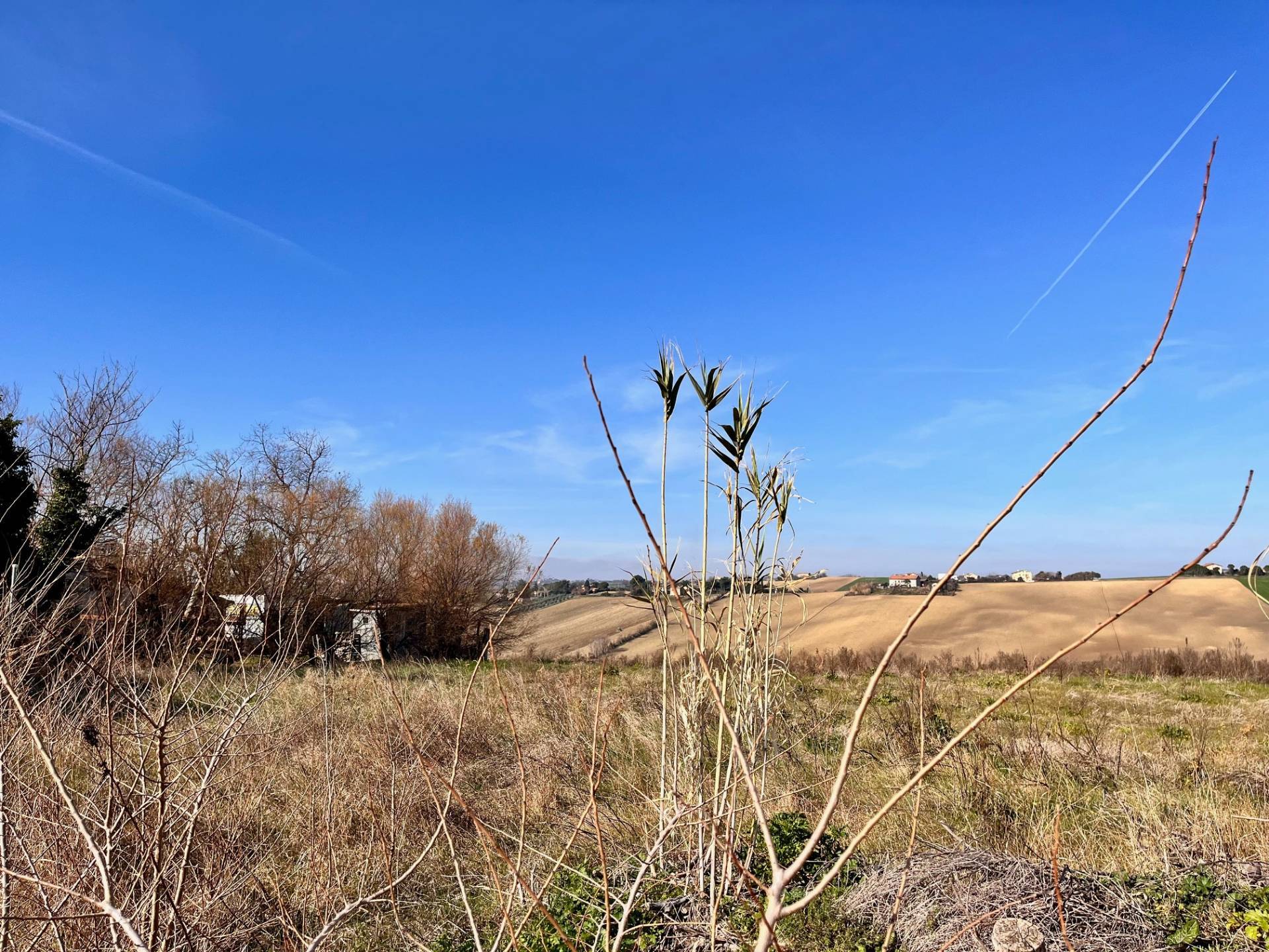 Rustico in vendita a Montemarciano
