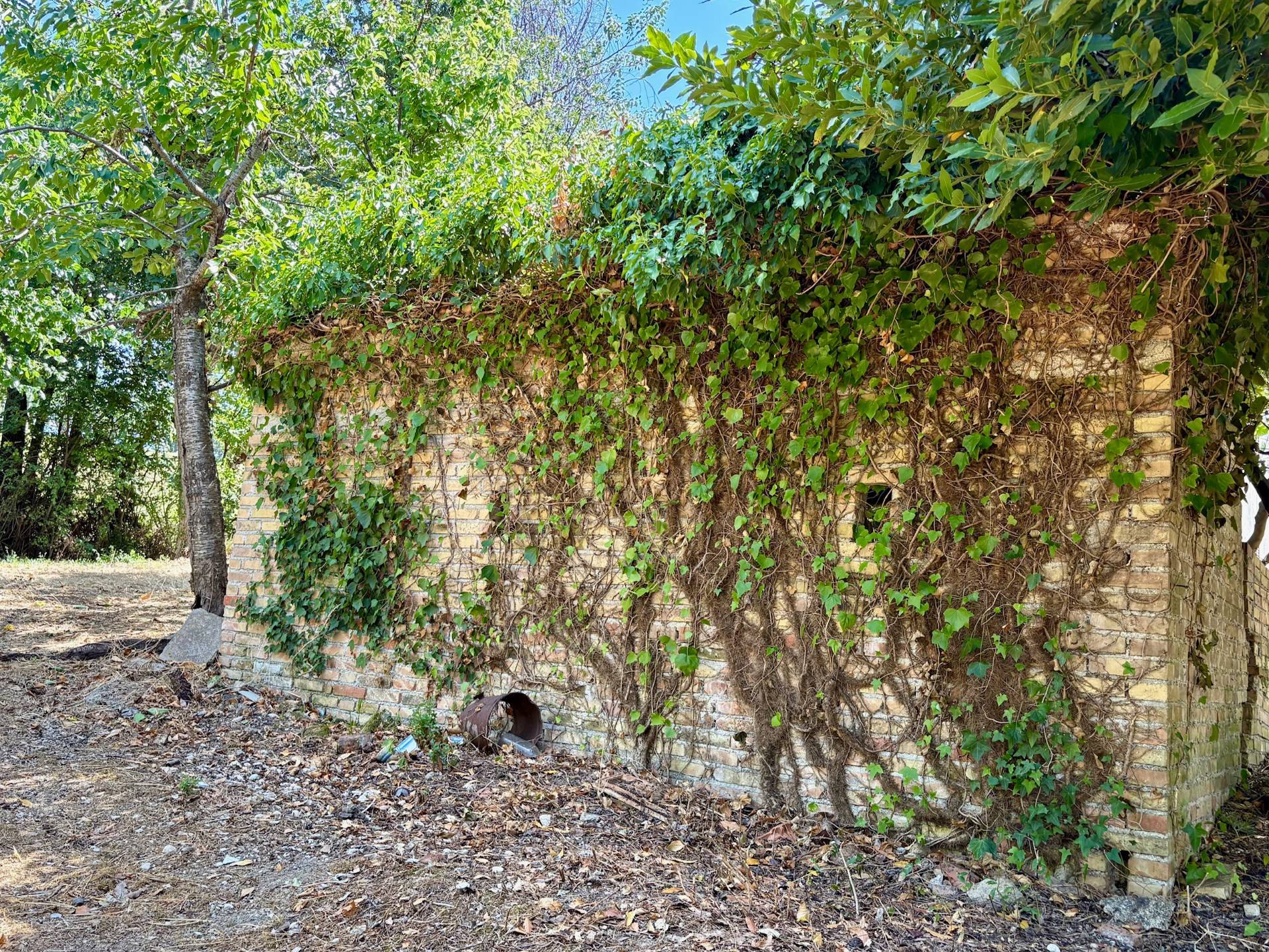 Casa singola in vendita a Belvedere Ostrense