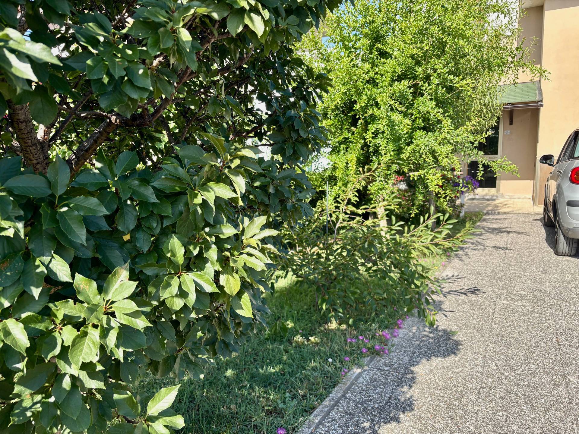 Casa a schiera indipendente in vendita a Montemarciano