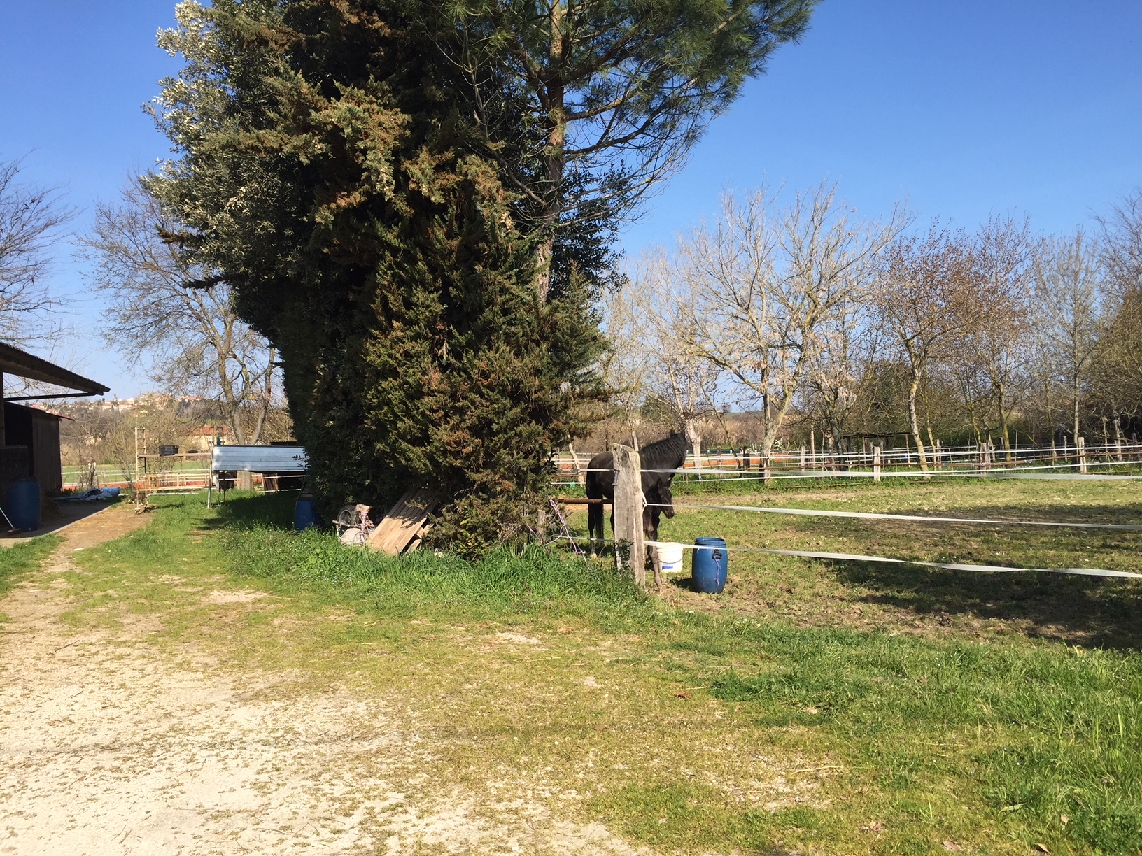 Rustico in vendita a Chiaravalle