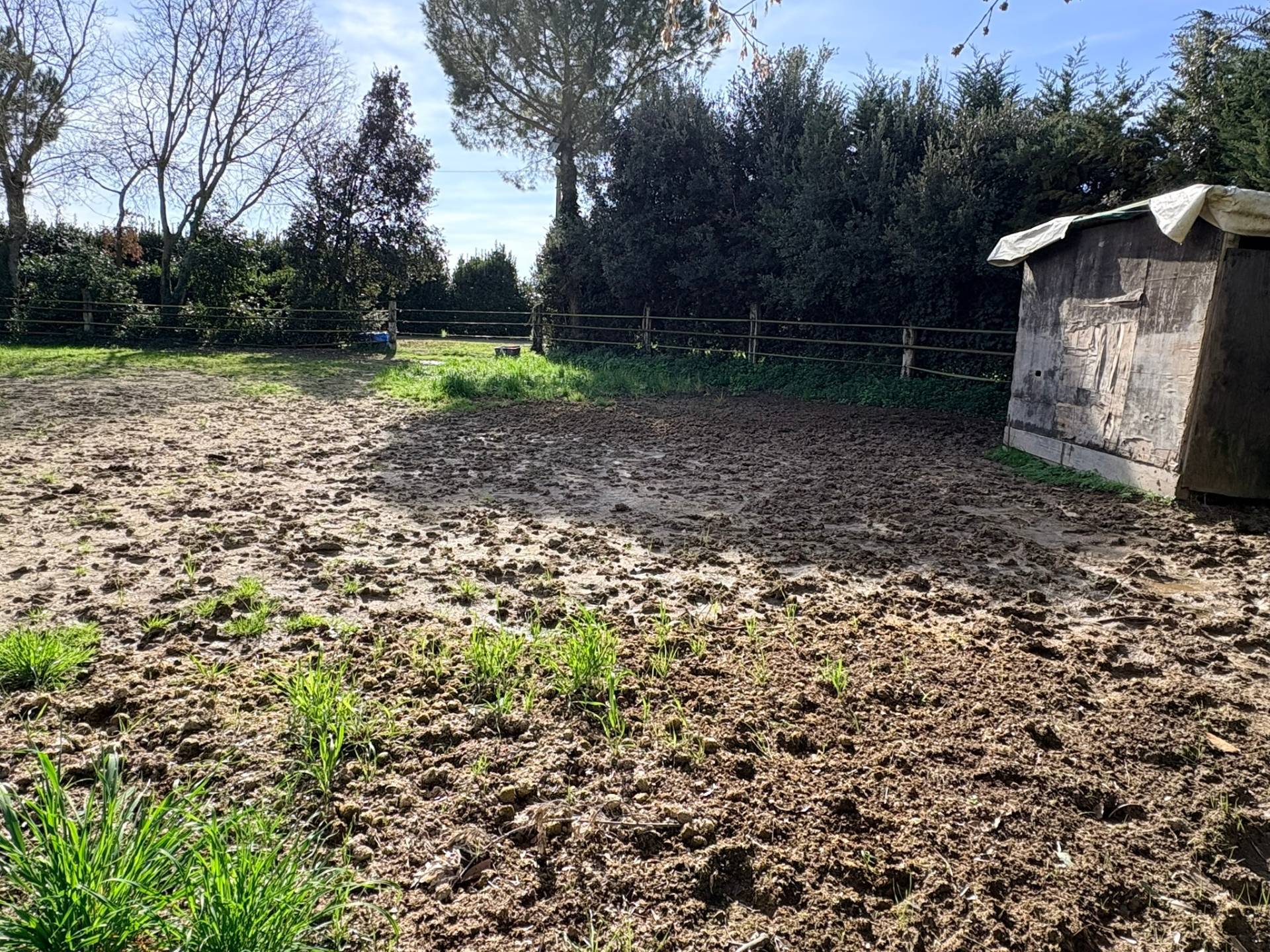 Rustico in vendita a Chiaravalle