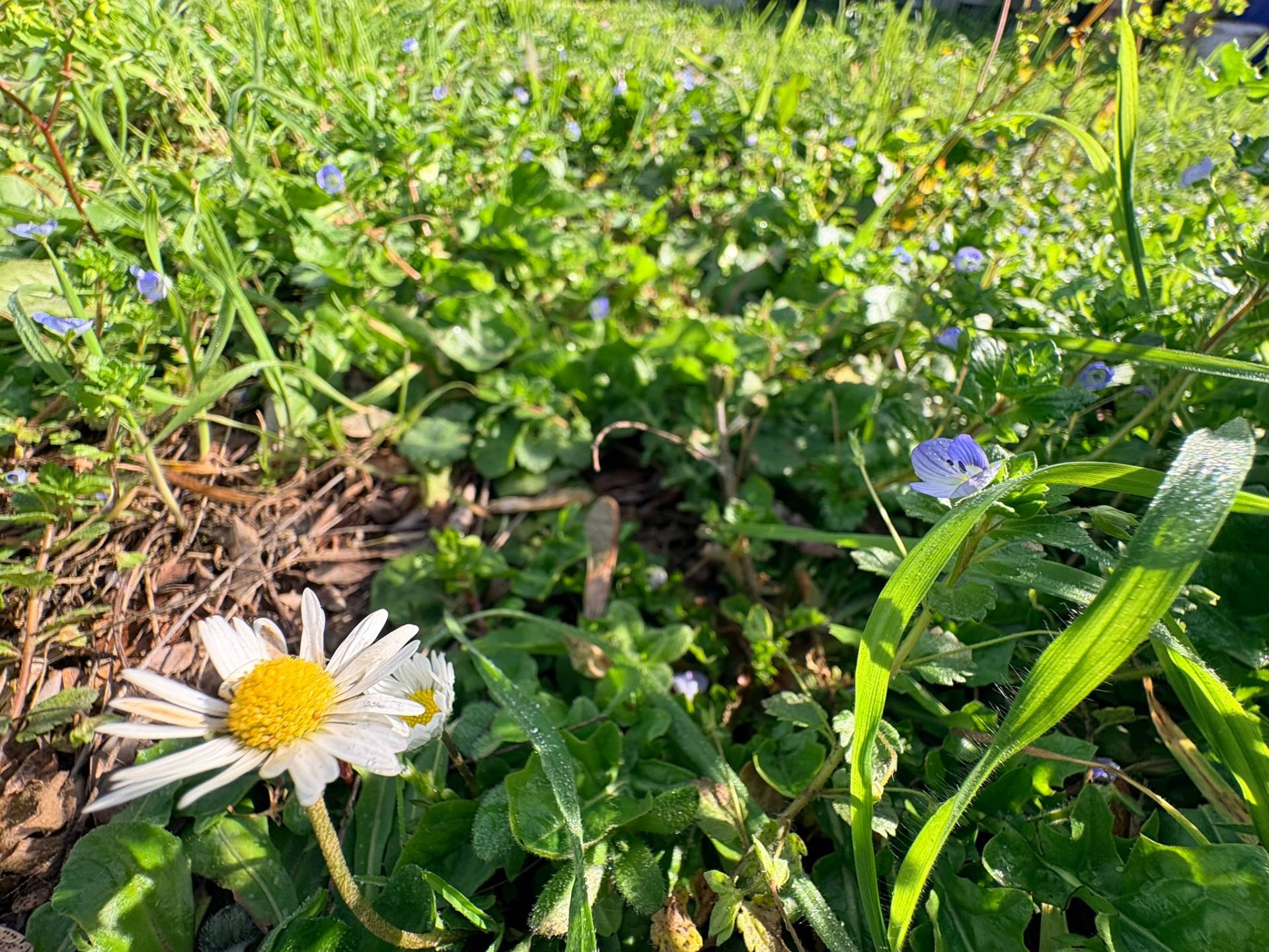 Rustico in vendita a Chiaravalle