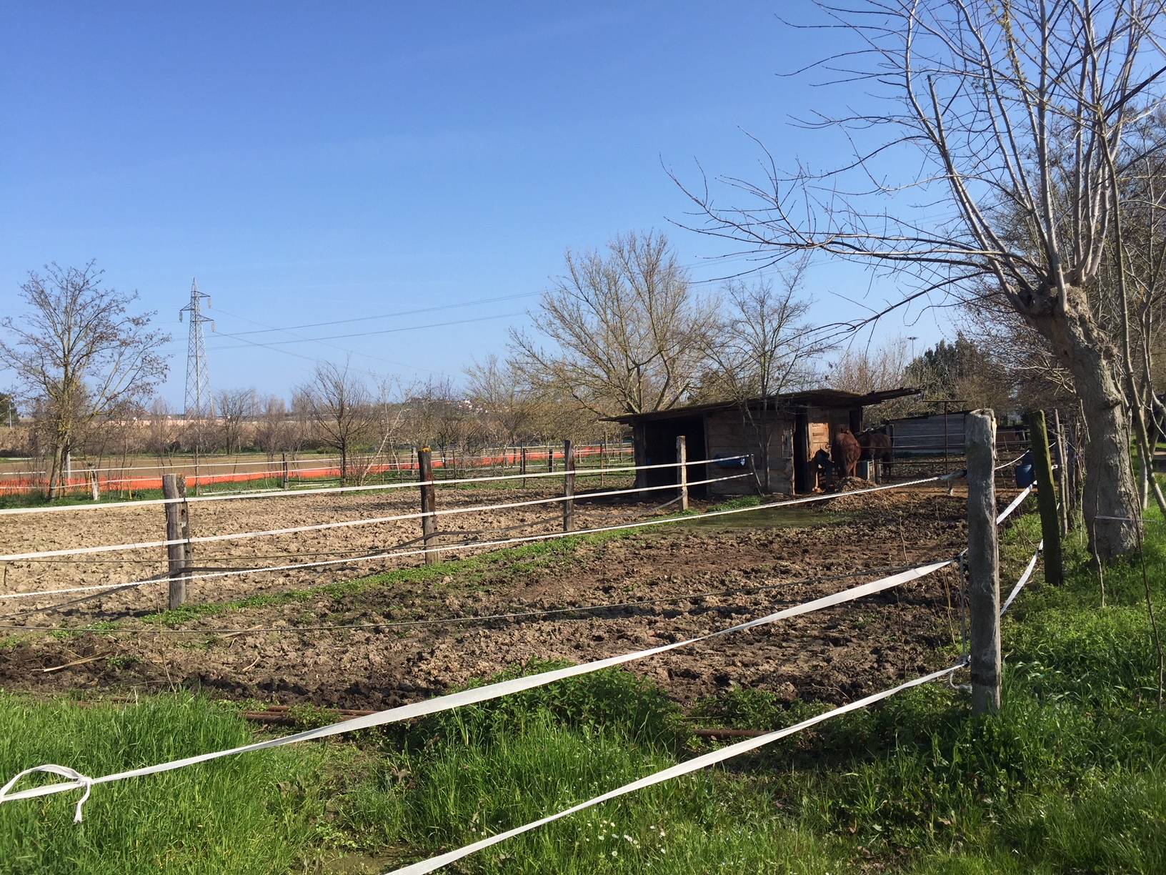 Terreno Agricolo in vendita a Chiaravalle