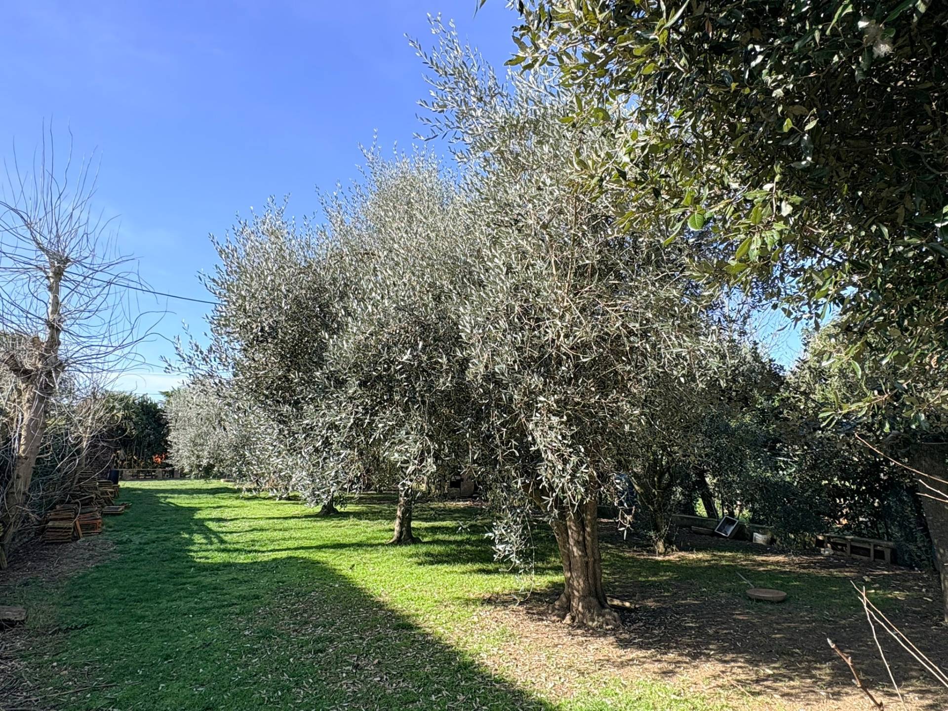 Casolare in vendita a Chiaravalle