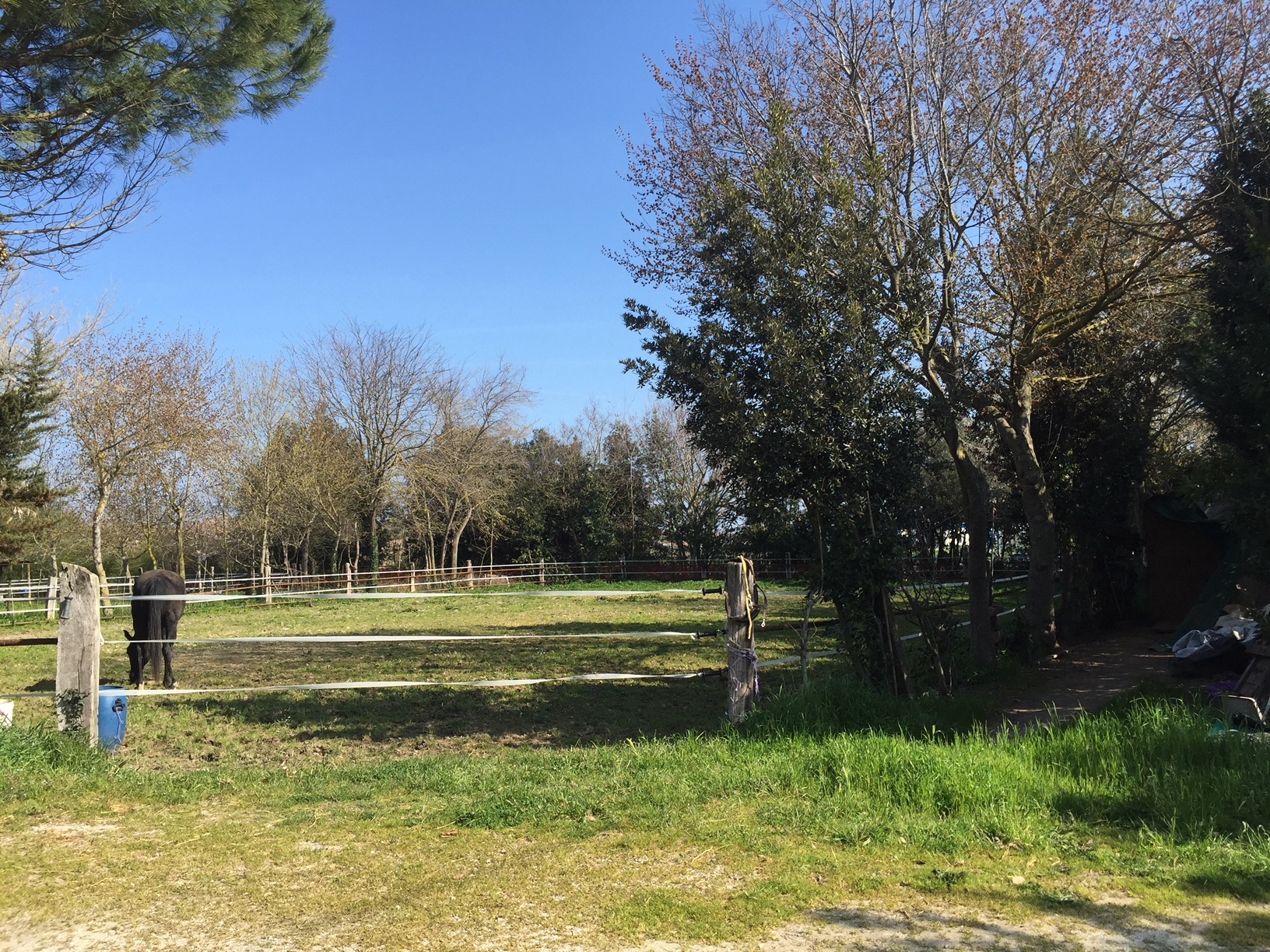 Casolare in vendita a Chiaravalle