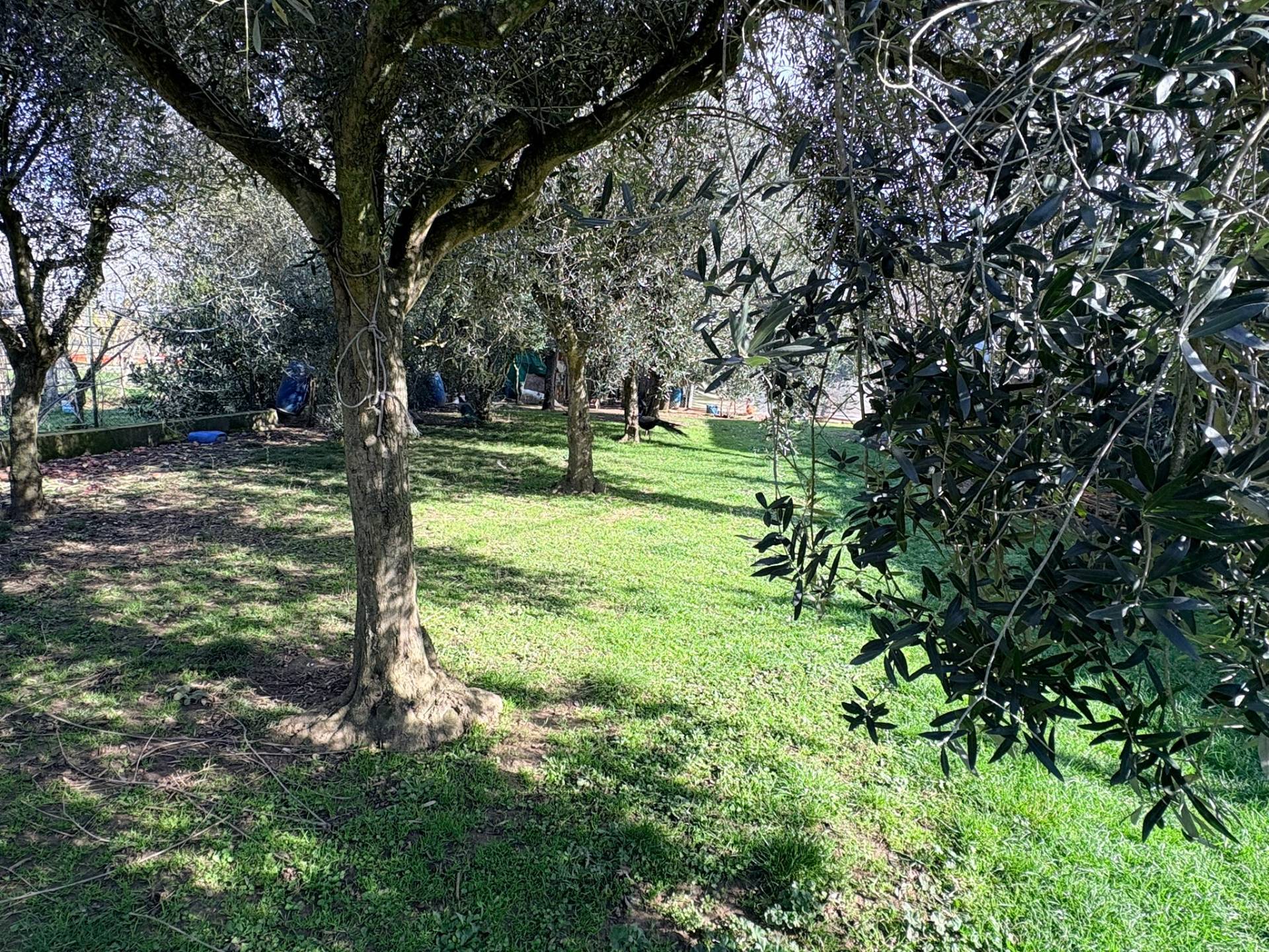 Casolare in vendita a Chiaravalle