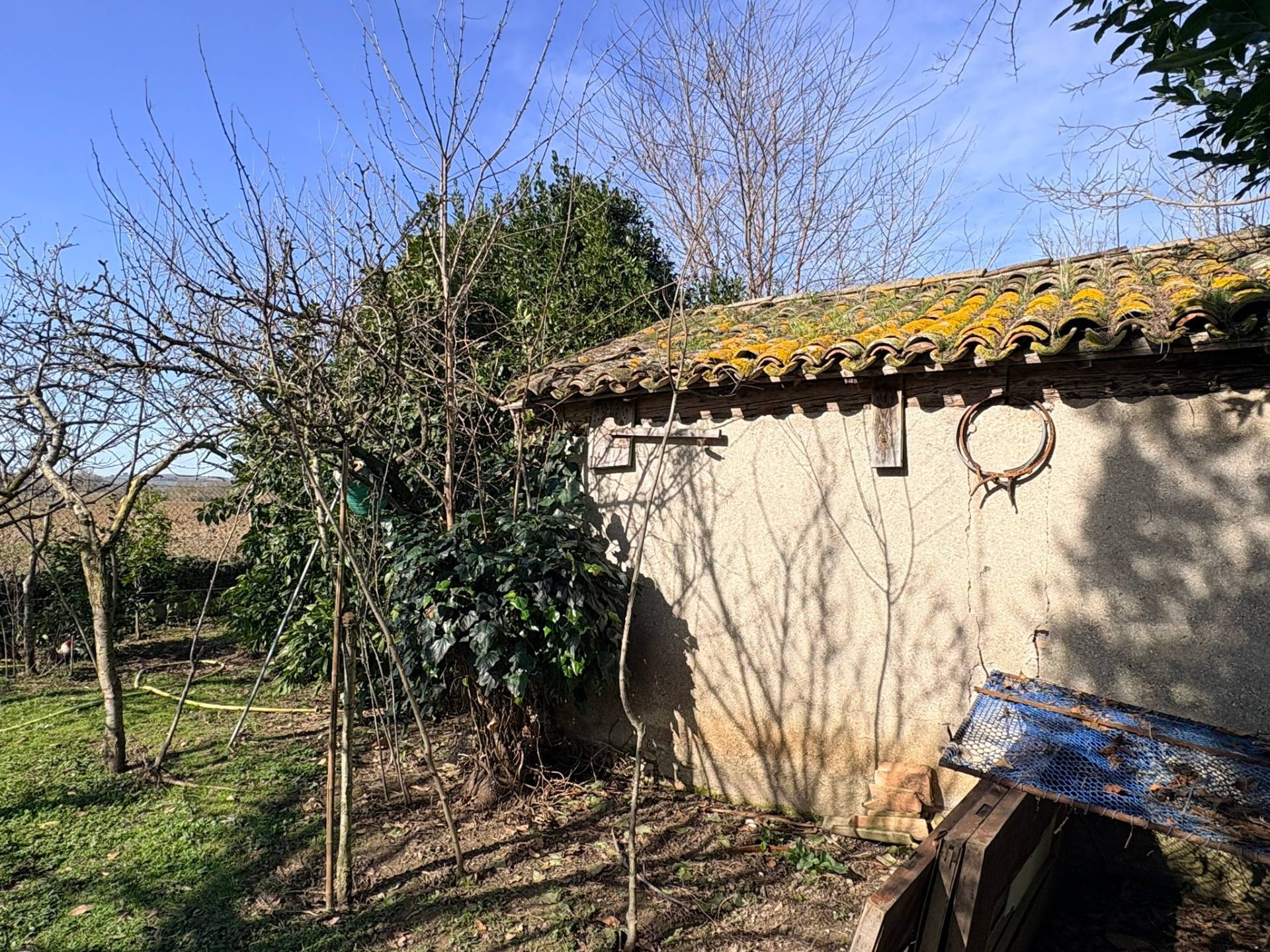 Casolare in vendita a Chiaravalle