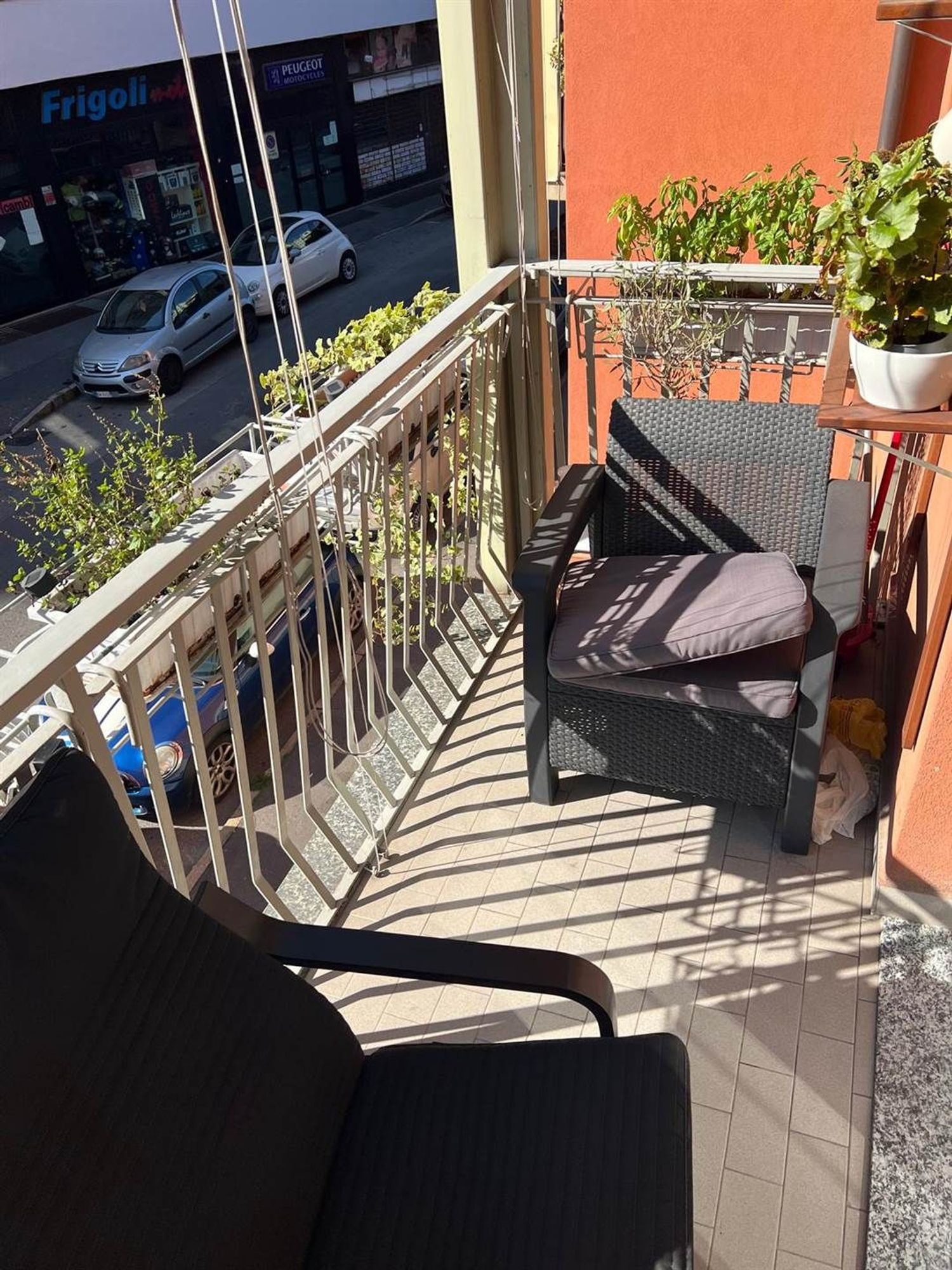 immagine annuncio 2 di 6