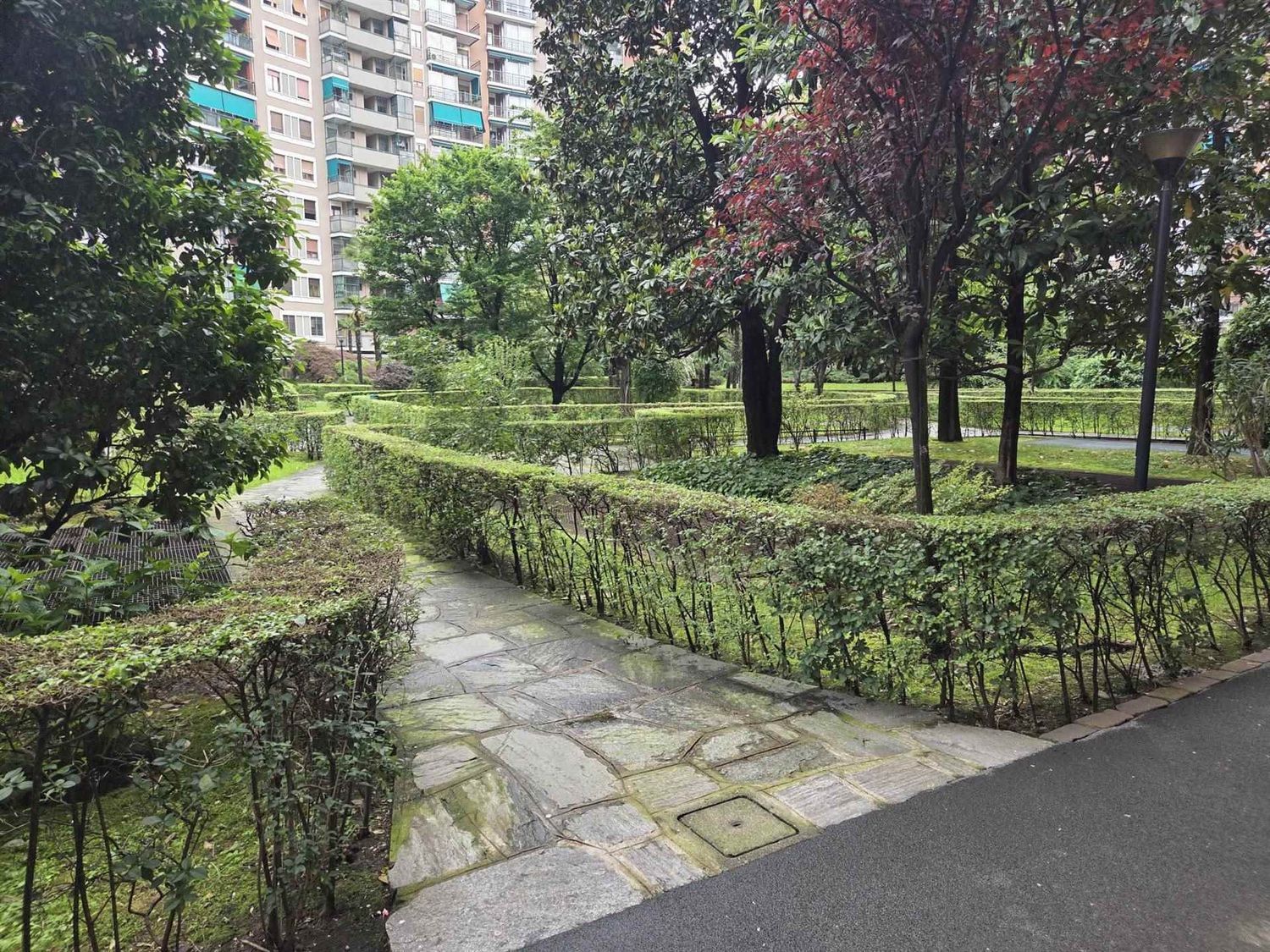 immagine annuncio 3 di 6