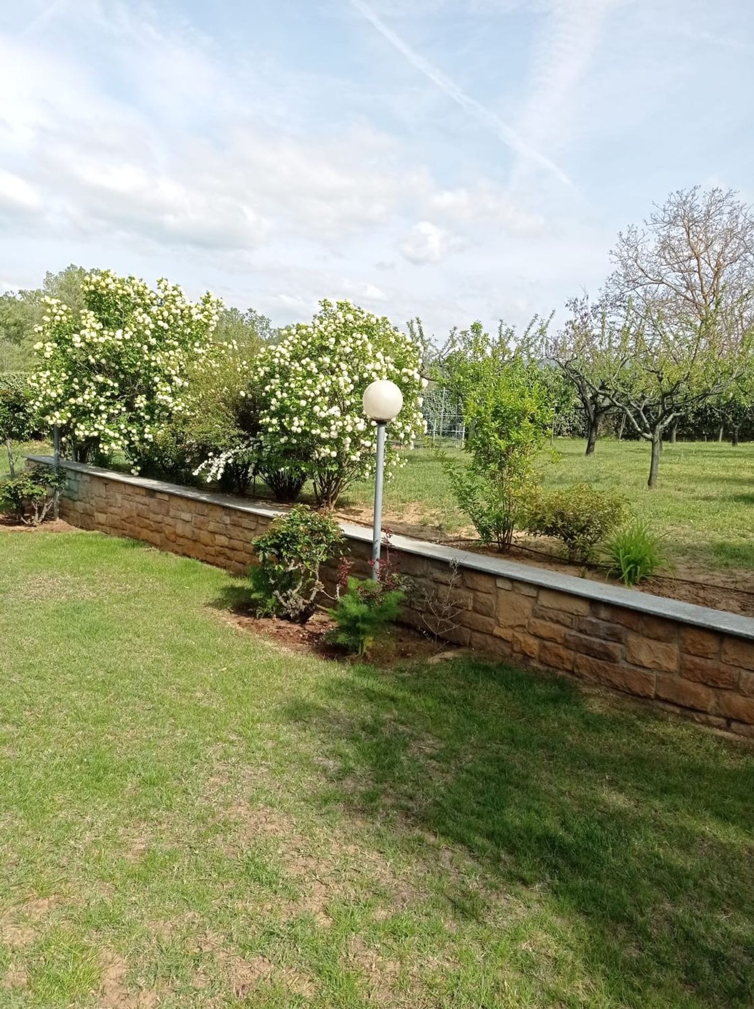 Villa in vendita in via tortona 0, Bosco Marengo