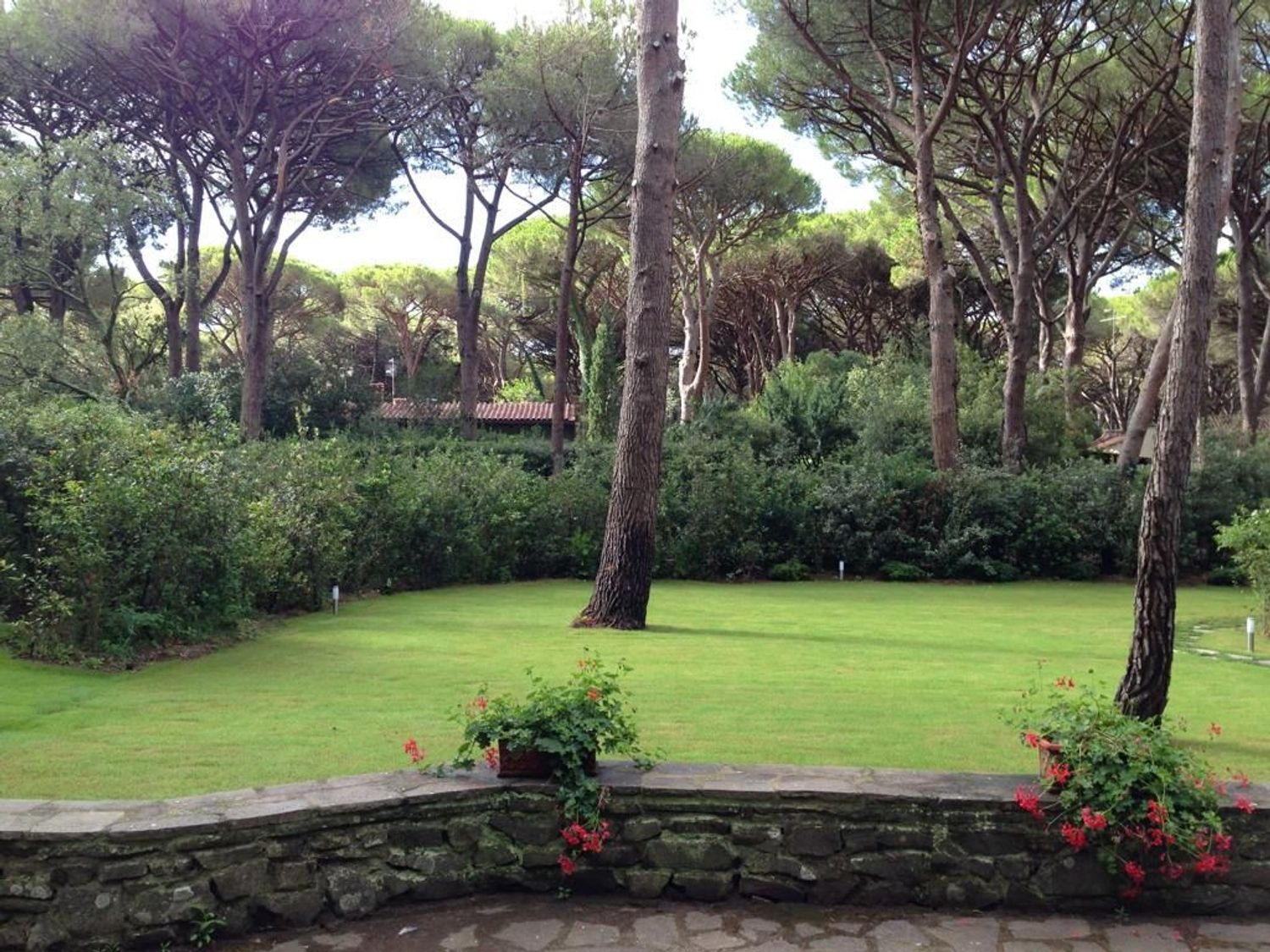 Villa in affitto in pineta di roccamare 104, Castiglione della Pescaia