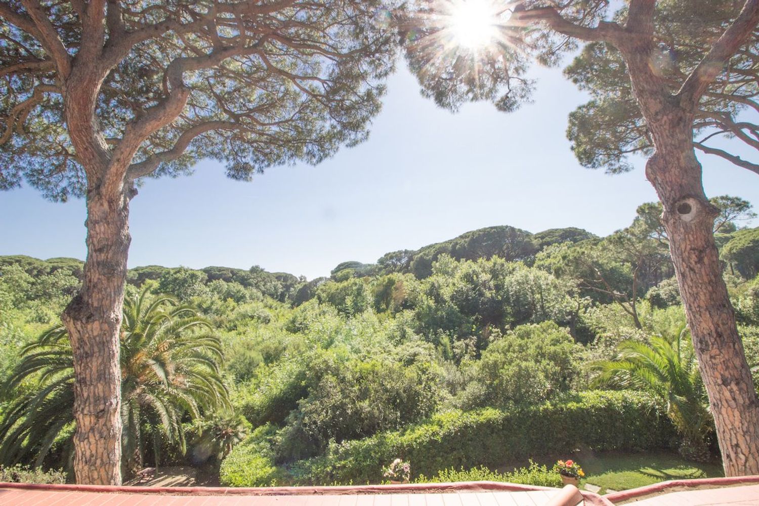 Villa in affitto in roccamare 0, Castiglione della Pescaia