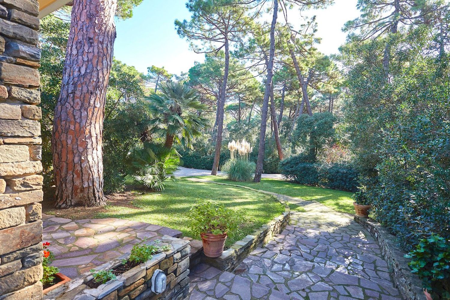 Villa in affitto in roccamare 0, Castiglione della Pescaia