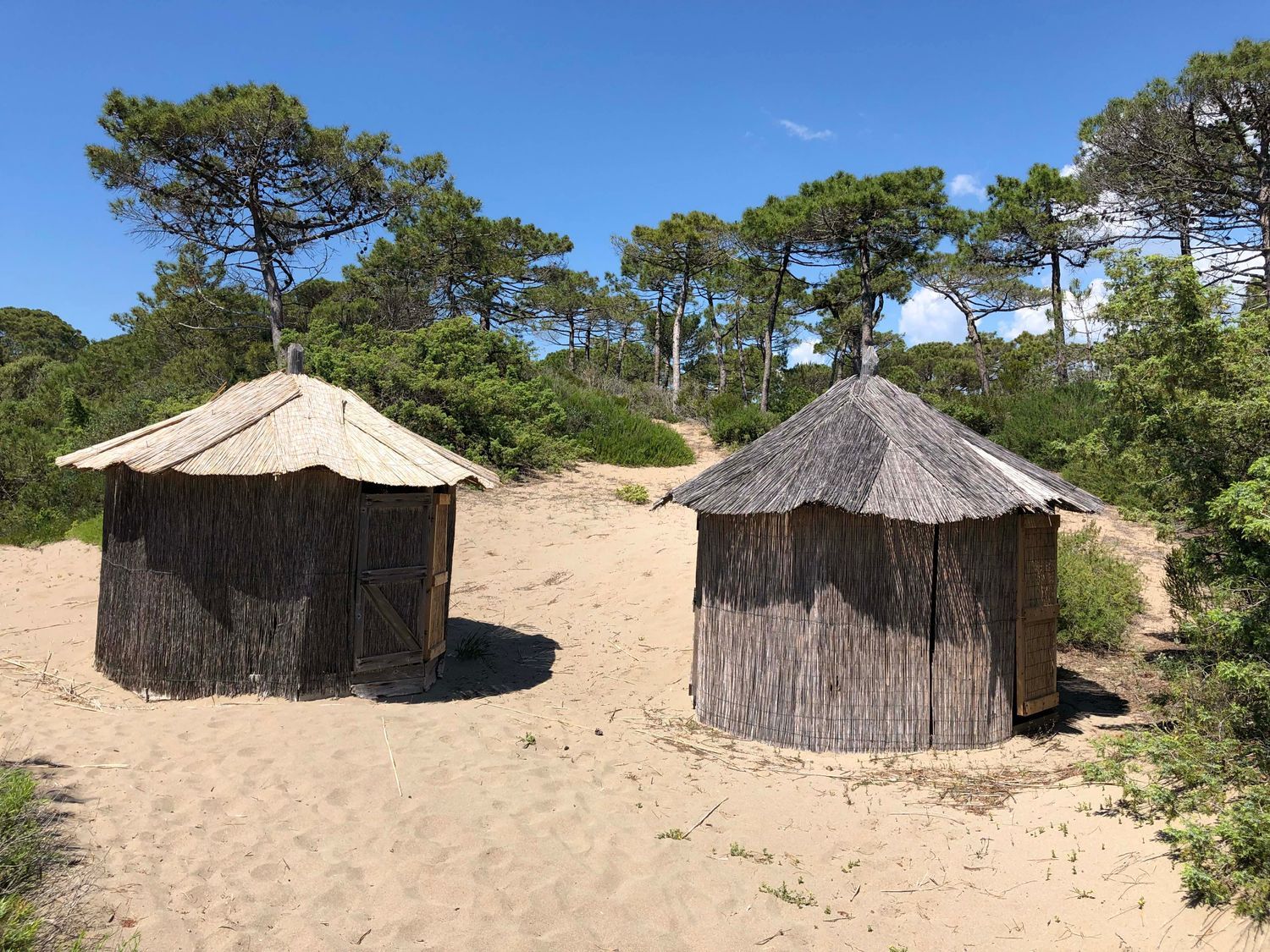 Villa in affitto in roccamare 0, Castiglione della Pescaia