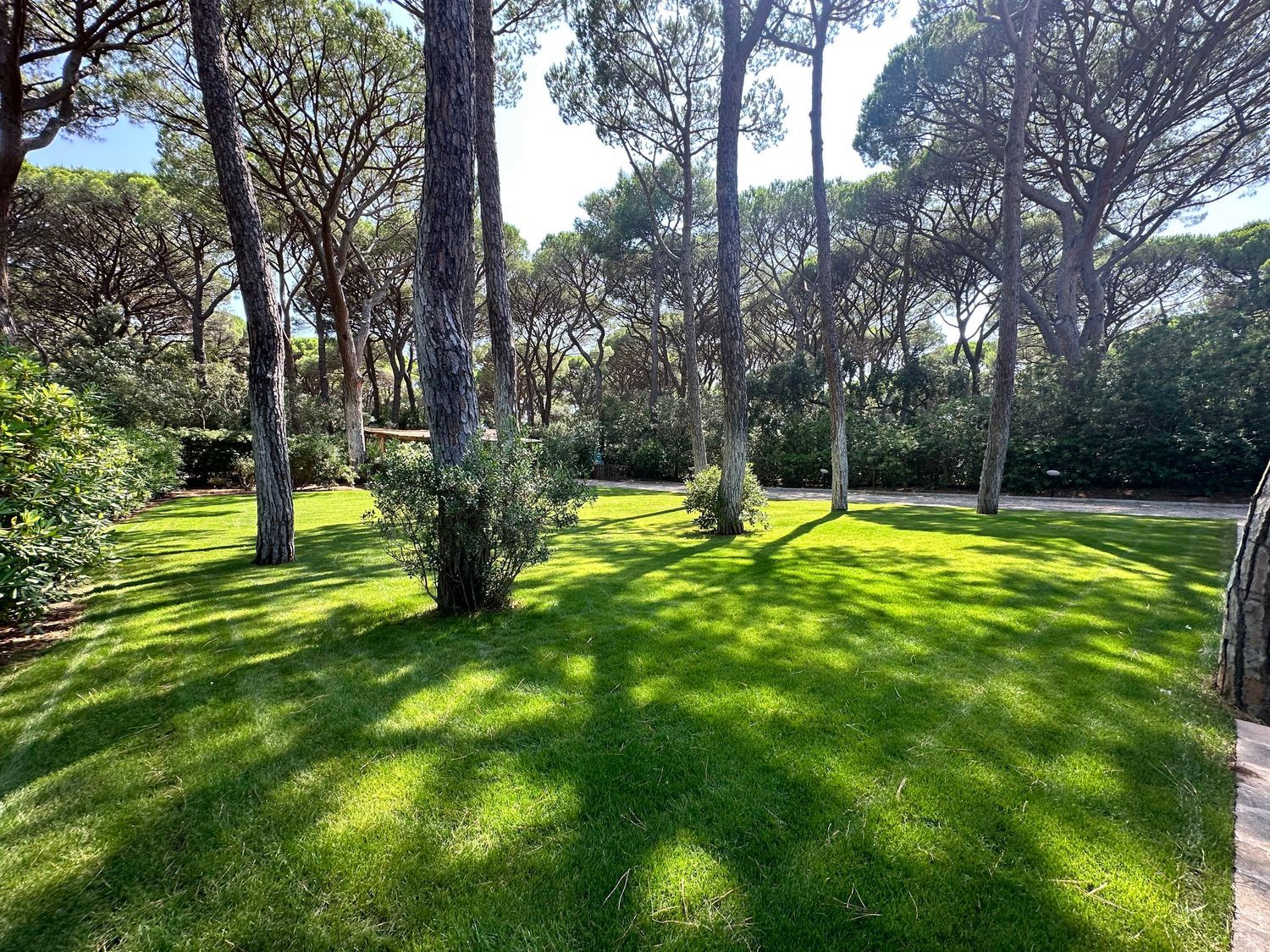 Villa in affitto in roccamare 0, Castiglione della Pescaia