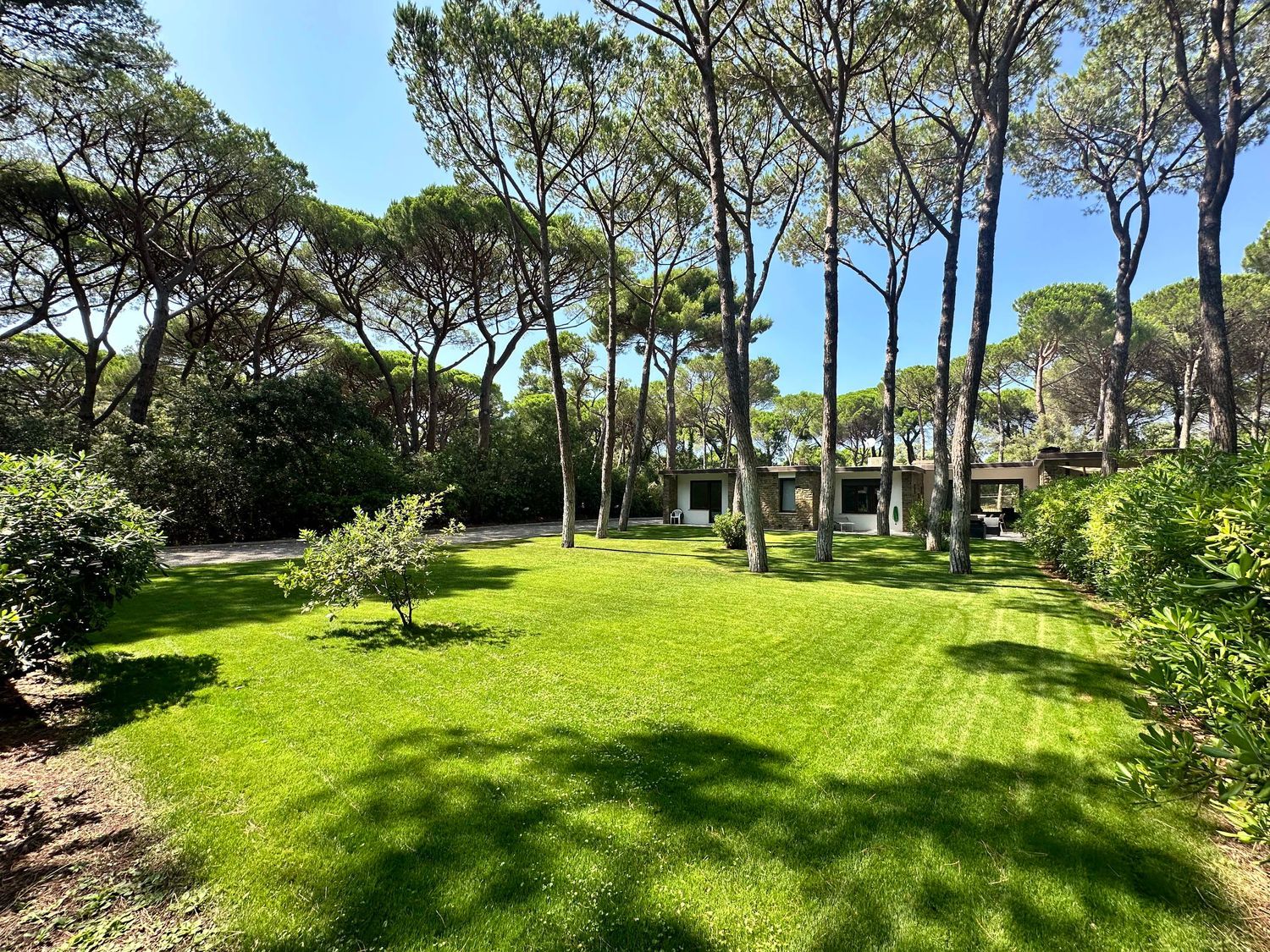 Villa in vendita in roccamare 0, Castiglione della Pescaia