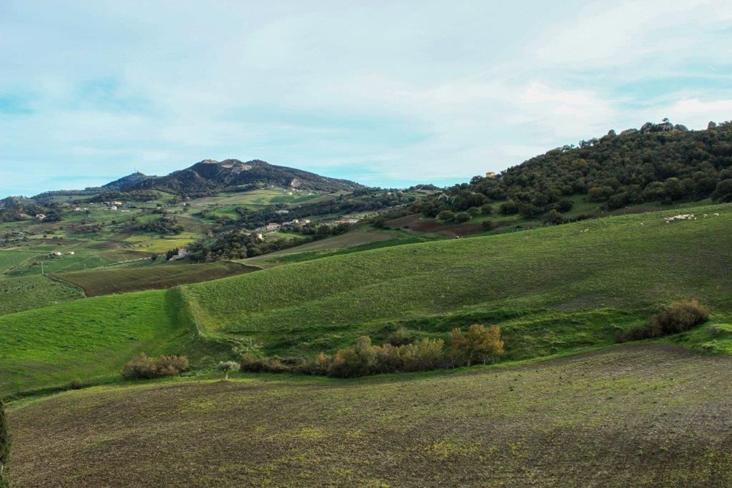 Villa in vendita in centro 0, Nicosia