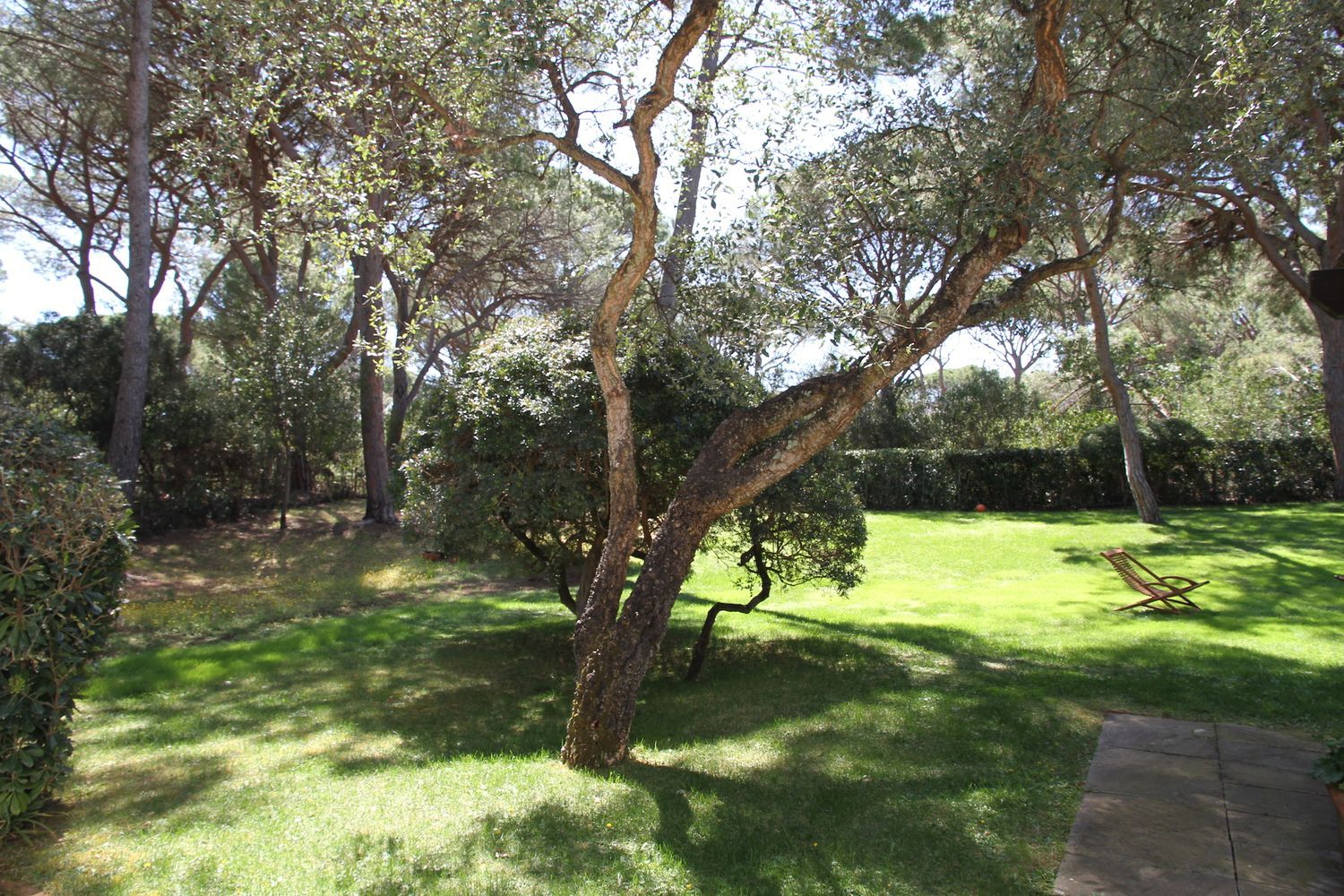 Villa in affitto in roccamare 0, Castiglione della Pescaia