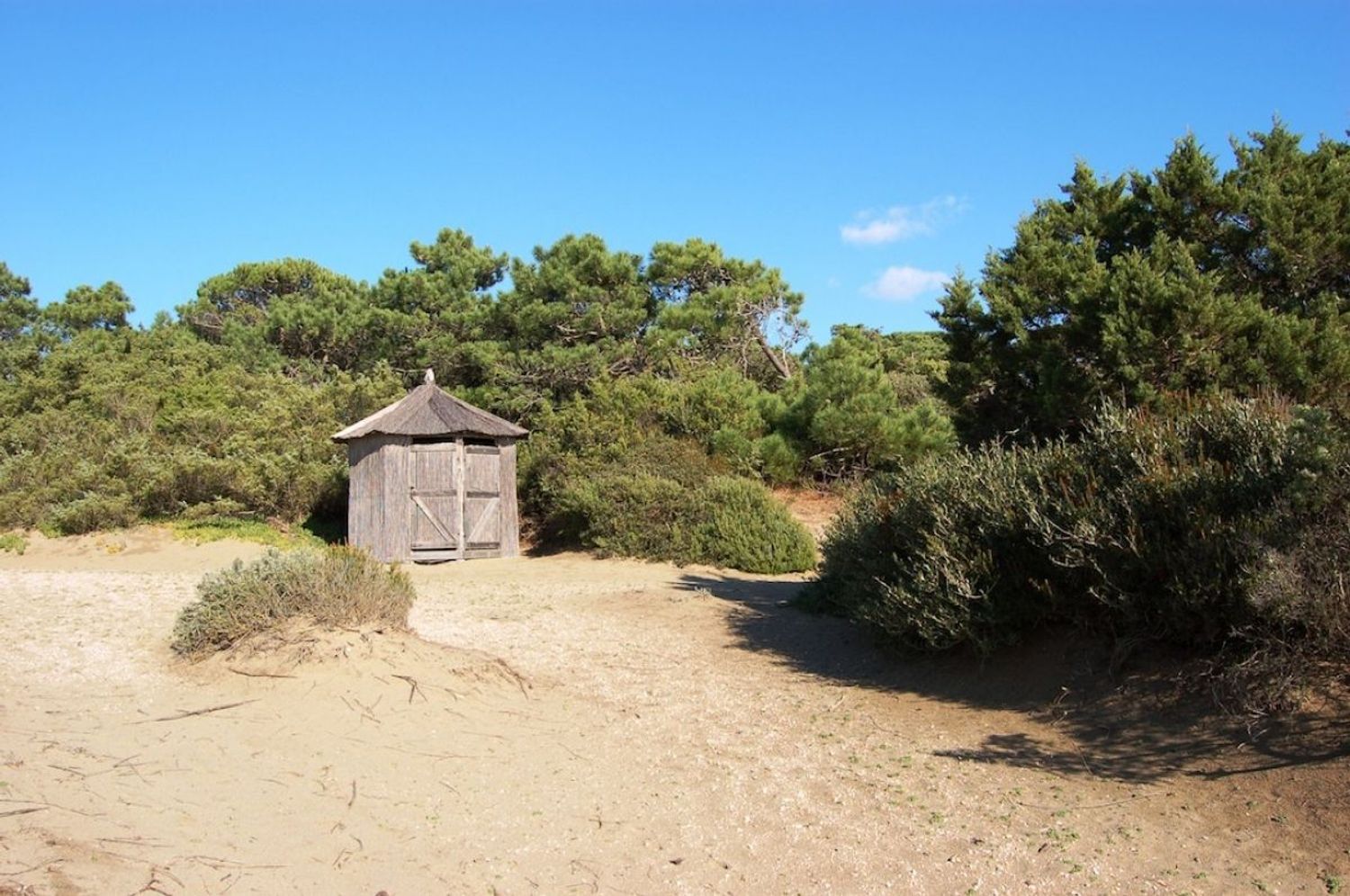 Villa in vendita in roccamare 0, Castiglione della Pescaia