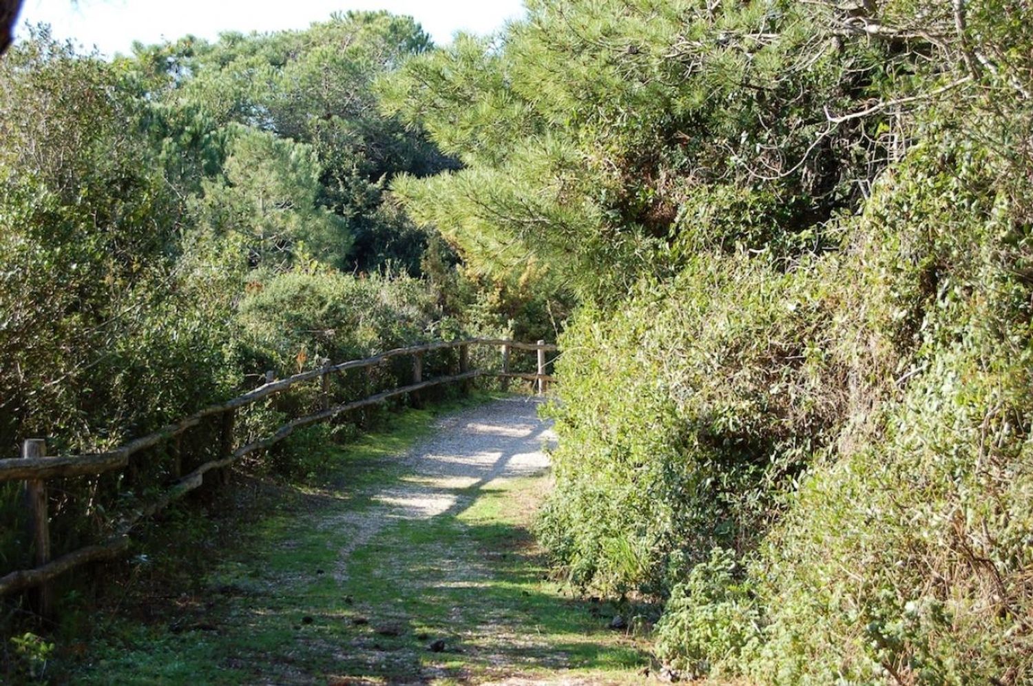 Villa in vendita in roccamare 0, Castiglione della Pescaia